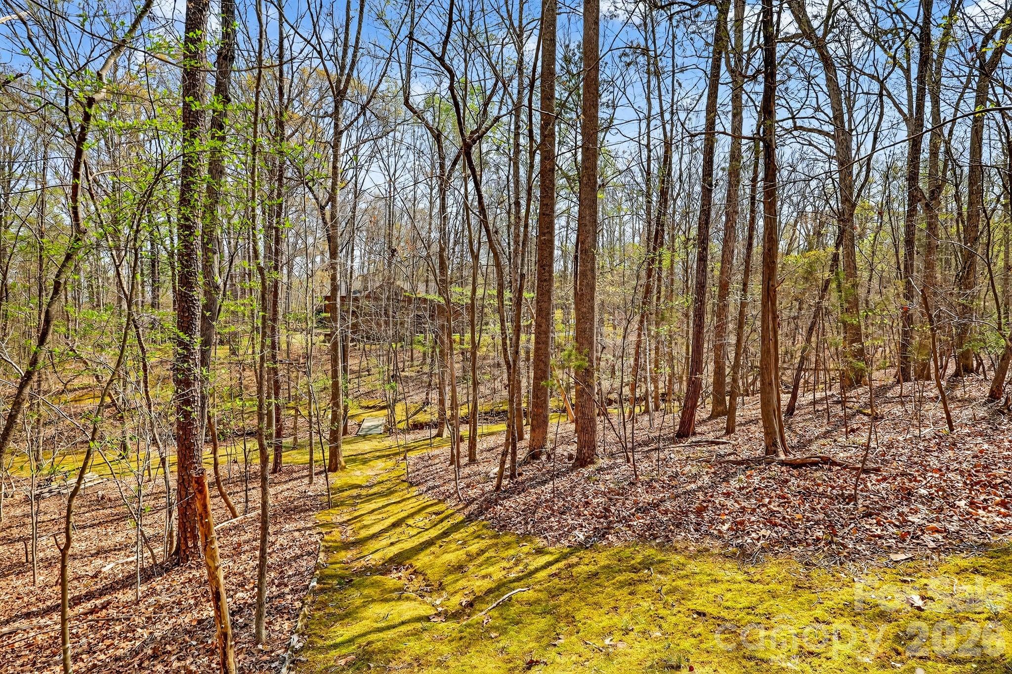 2816 Blythe Road Waxhaw, NC 28173 - Photo 43 of 48 Gallery Image 43
