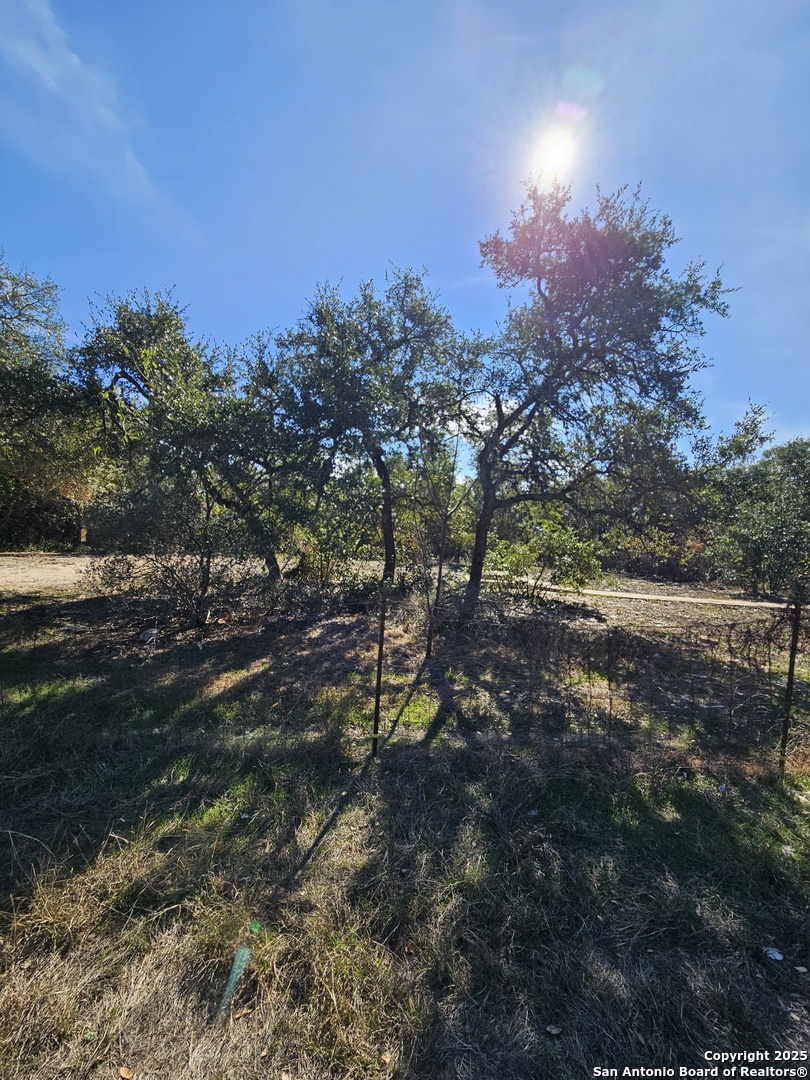 1290 Tee Pee Drive Spring Branch, TX 78070 - Photo 2 of 16