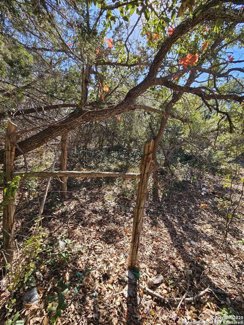 1290 Tee Pee Drive Spring Branch, TX 78070 - Photo 4 of 16