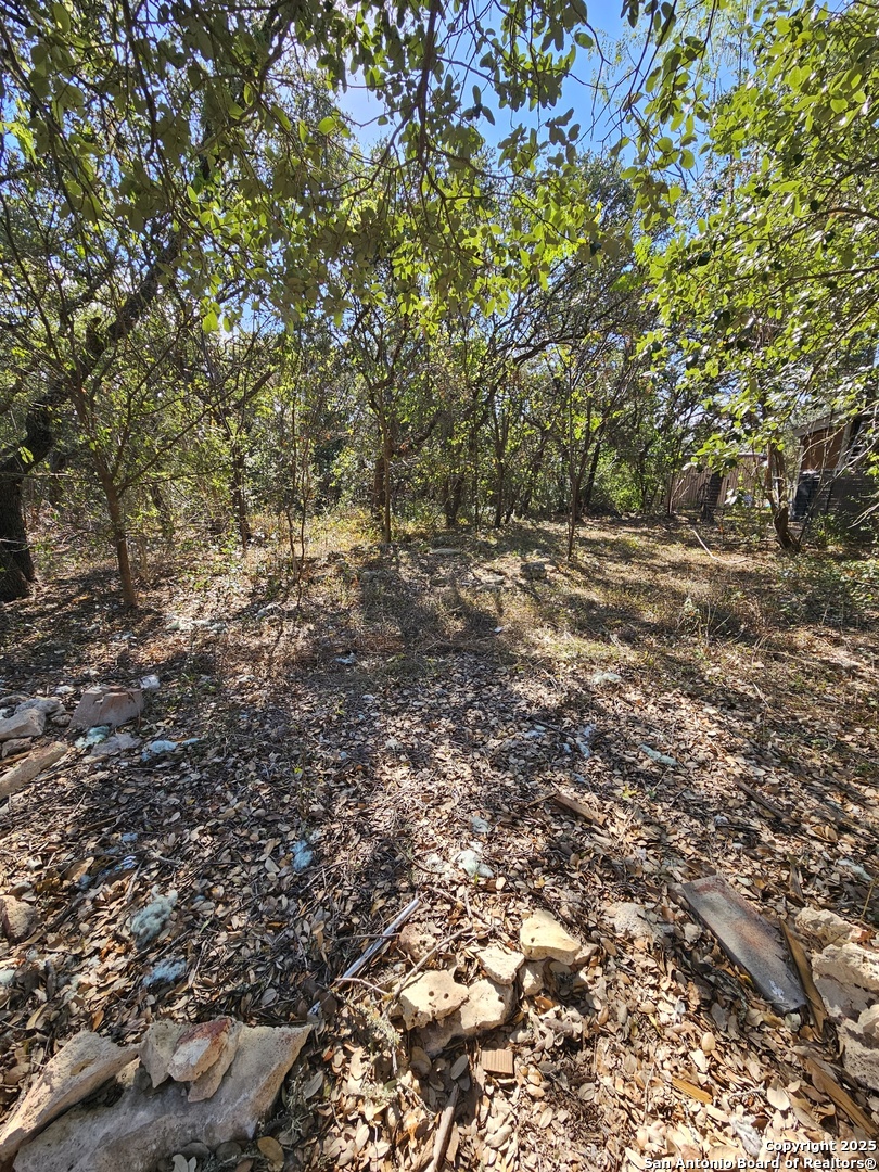 1290 Tee Pee Drive Spring Branch, TX 78070 - Photo 6 of 16