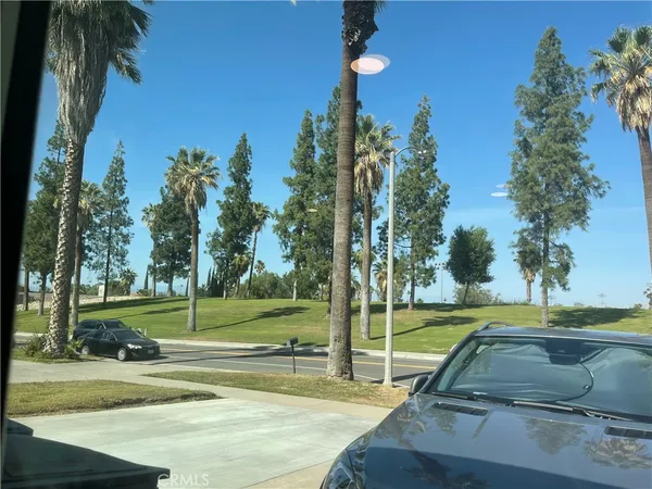 a view of a park with palm trees
