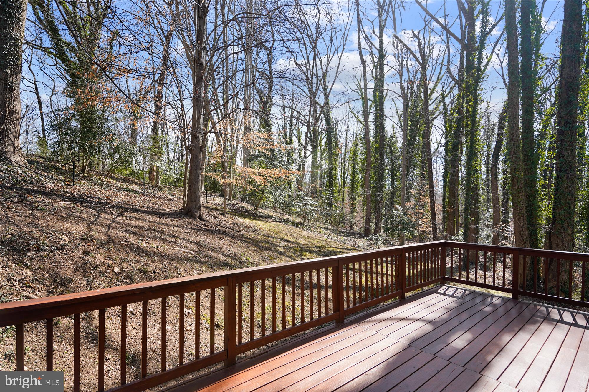 1291 Circle Drive Arnold, MD 21012 - Photo 22 of 43