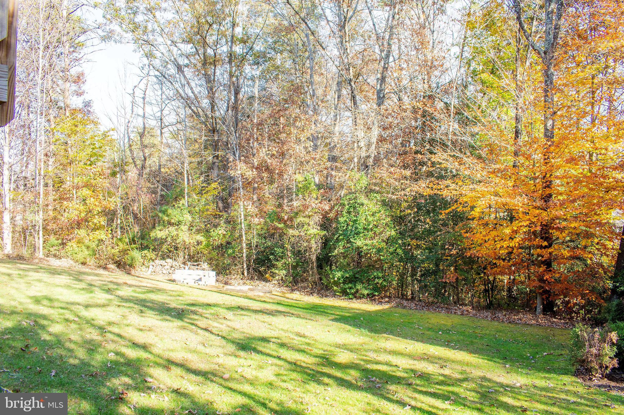 6113 Eds Road Mineral, VA 23117 - Photo 14 of 64 Gallery Image 14
