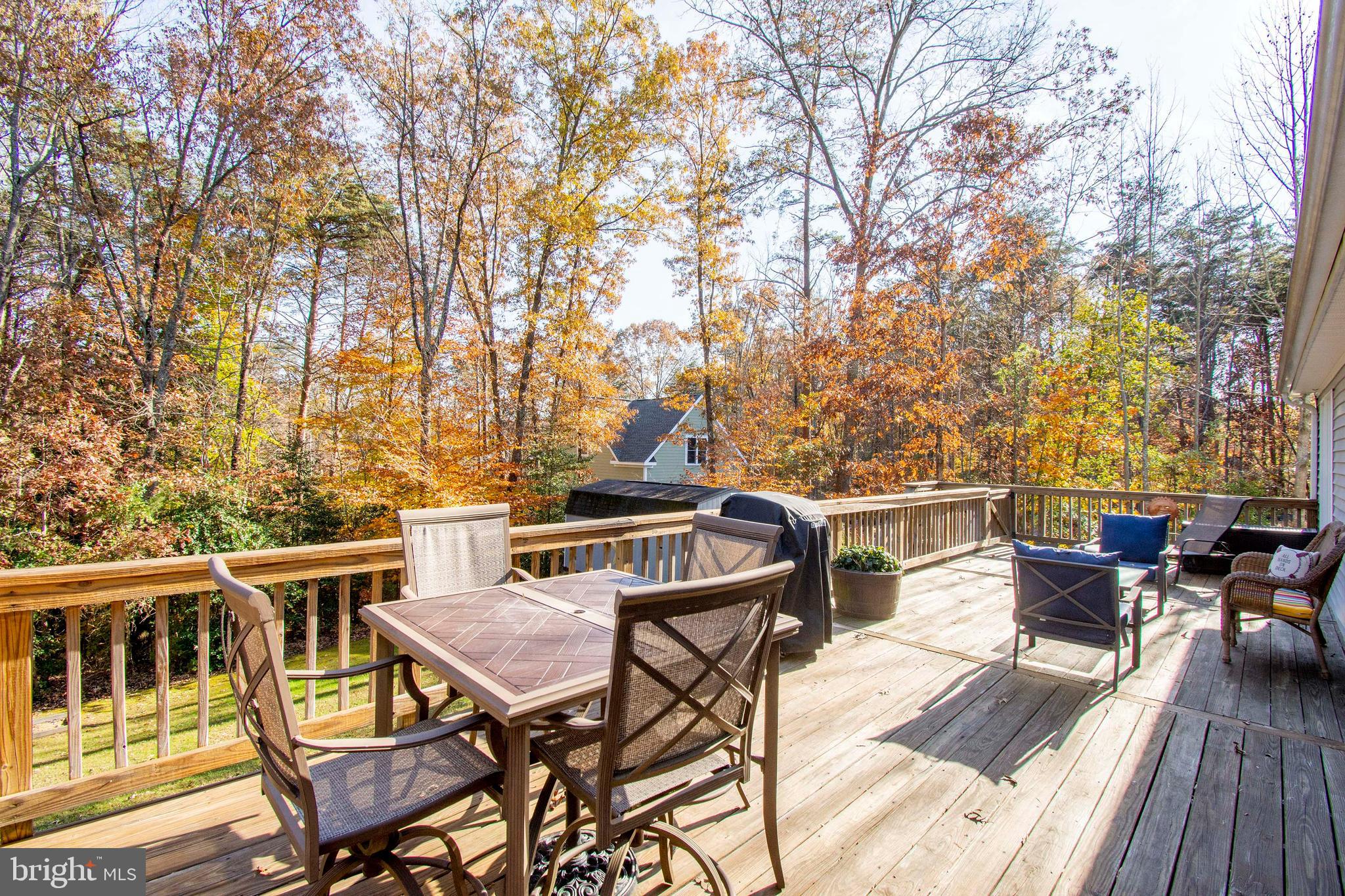 6113 Eds Road Mineral, VA 23117 - Photo 8 of 64 Dine Outside and Enjoy the Peacefulness