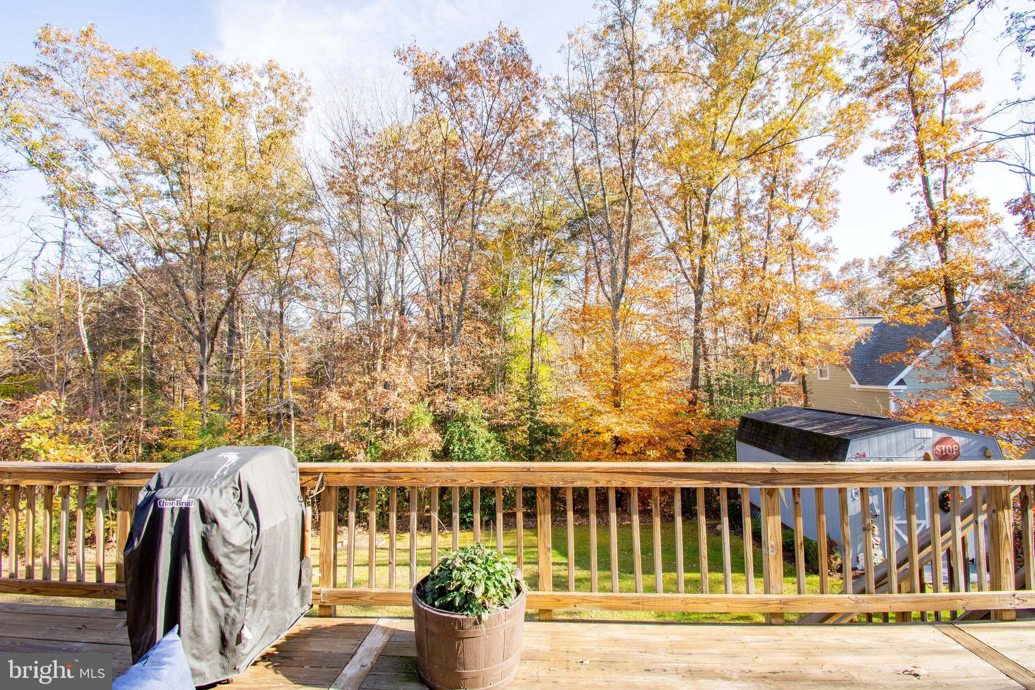 6113 Eds Road Mineral, VA 23117 - Photo 9 of 64 Large Yard for Enjoyment