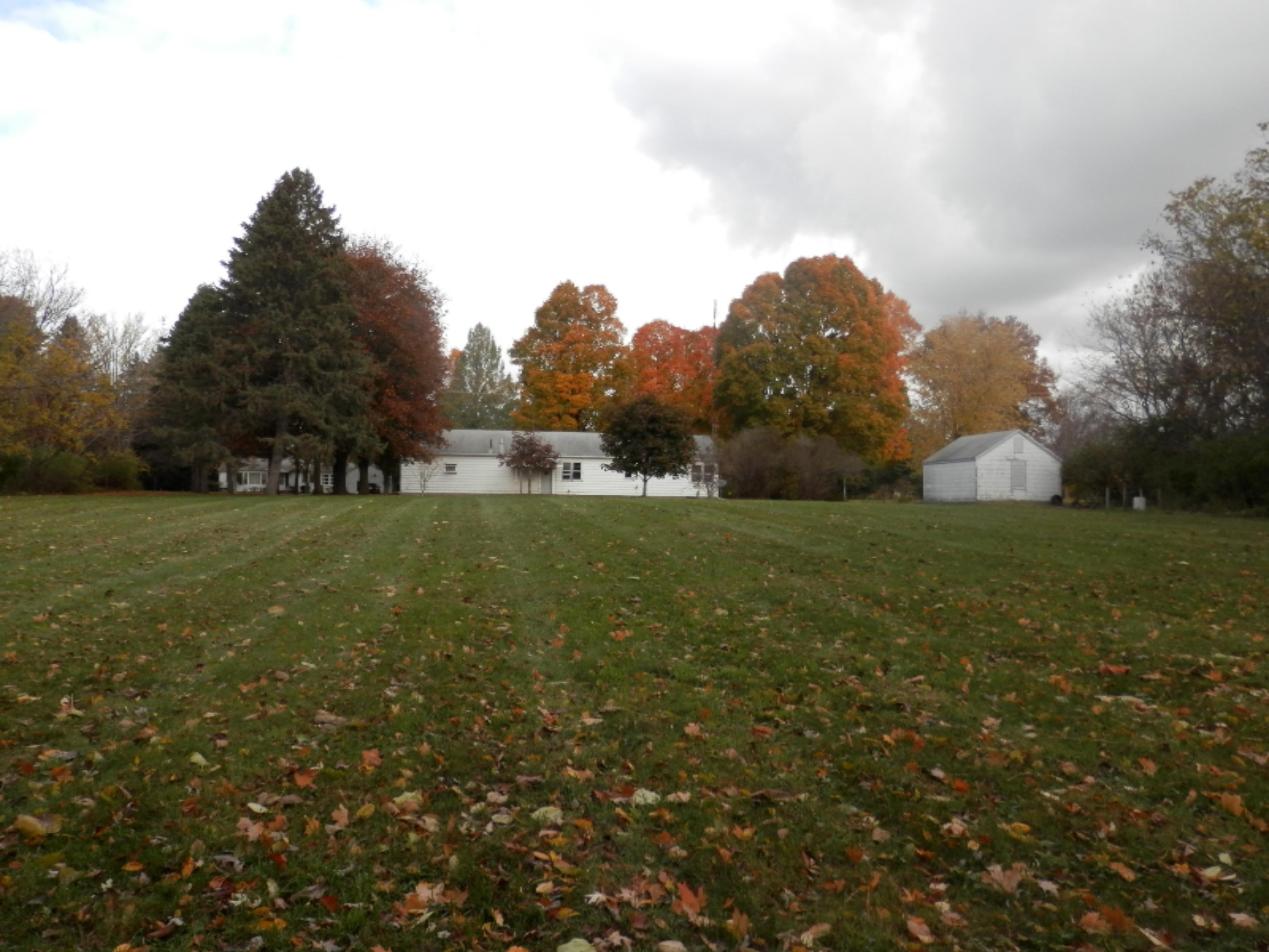 6300 Ryno Road Coloma, MI 49038 - Photo 5 of 12 Back of home
