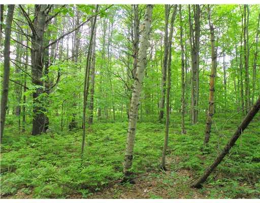 Lot 3 East Pond Road Smithfield, ME 04978 - Photo 6 of 13 Land/Lot.
