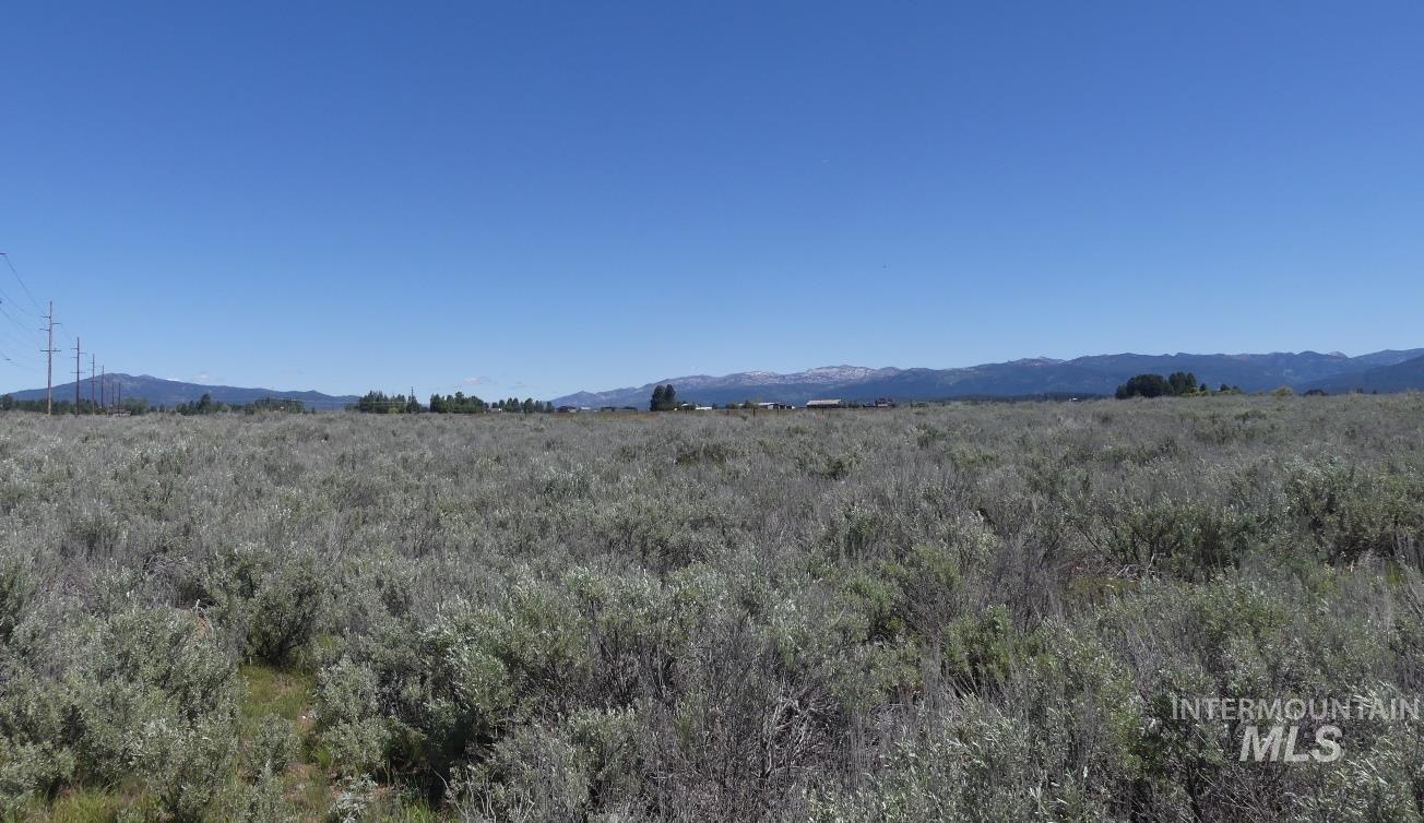 Lot 38 Nisula Road McCall, ID 83638 - Photo 5 of 35