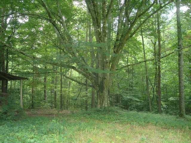 31 Evans Road Fairmount, GA 30139 - Photo 1 of 1