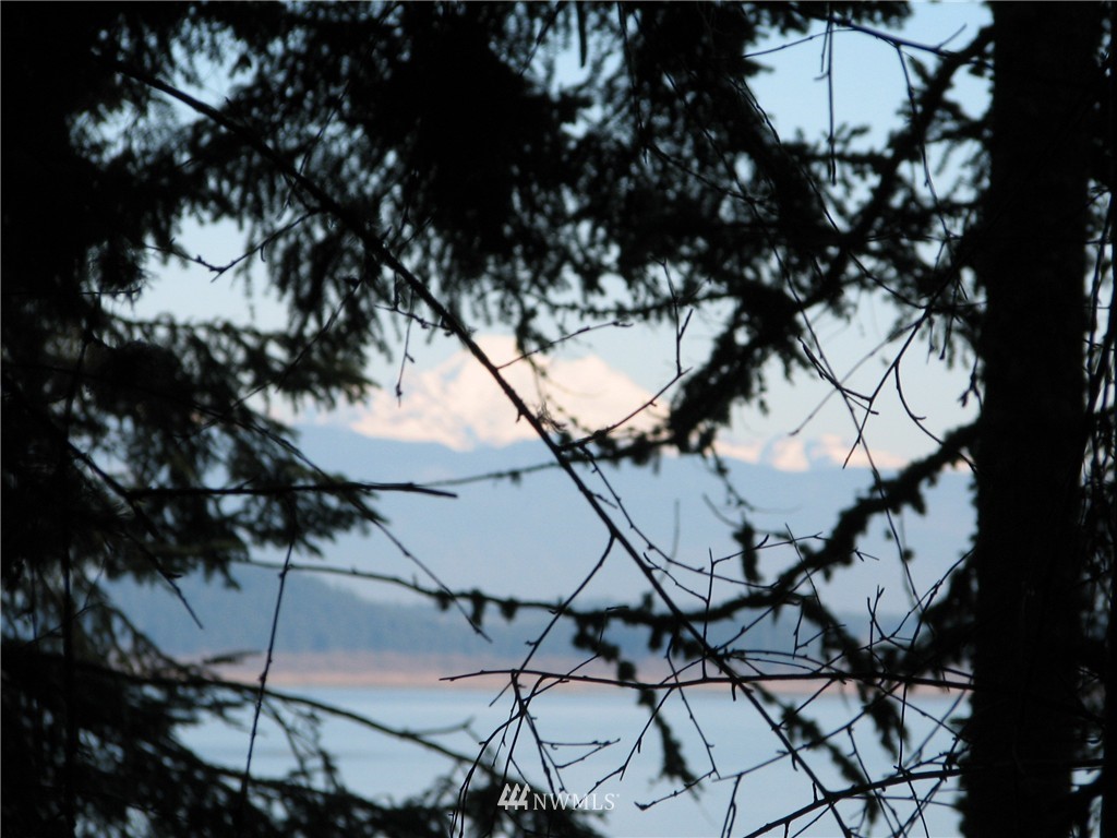 0 Green Road Oak Harbor, WA 98277 - Photo 1 of 25 Gallery Image 1