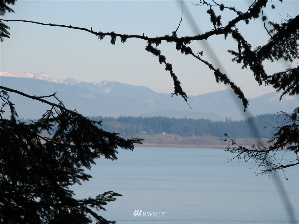 0 Green Road Oak Harbor, WA 98277 - Photo 2 of 25 Gallery Image 2