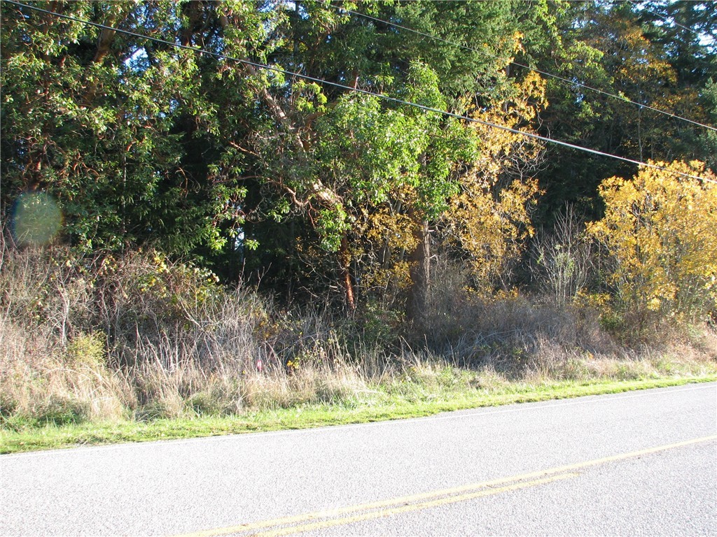 0 Green Road Oak Harbor, WA 98277 - Photo 11 of 25 Gallery Image 11