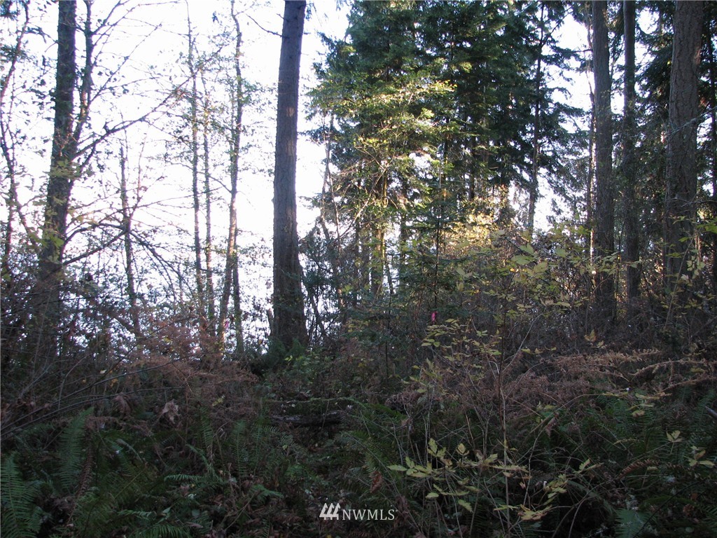 0 Green Road Oak Harbor, WA 98277 - Photo 13 of 25 Gallery Image 13