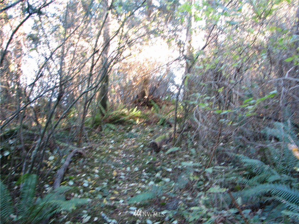 0 Green Road Oak Harbor, WA 98277 - Photo 14 of 25 Gallery Image 14