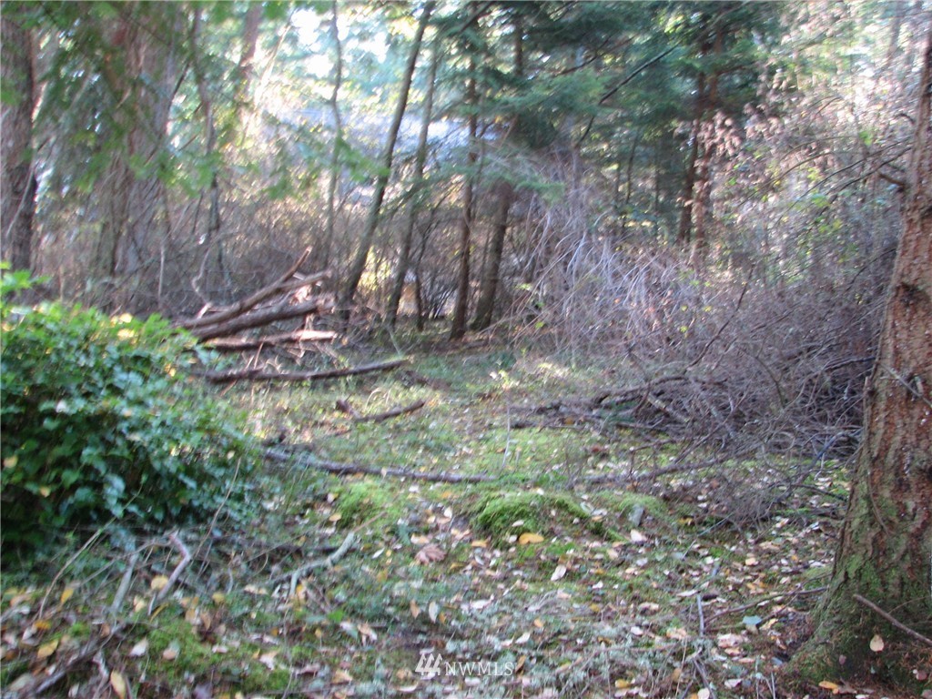 0 Green Road Oak Harbor, WA 98277 - Photo 18 of 25 Gallery Image 18