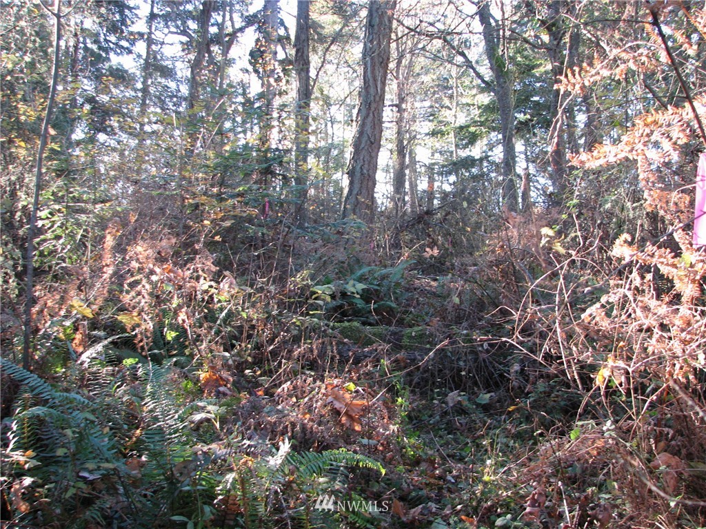 0 Green Road Oak Harbor, WA 98277 - Photo 20 of 25 Gallery Image 20