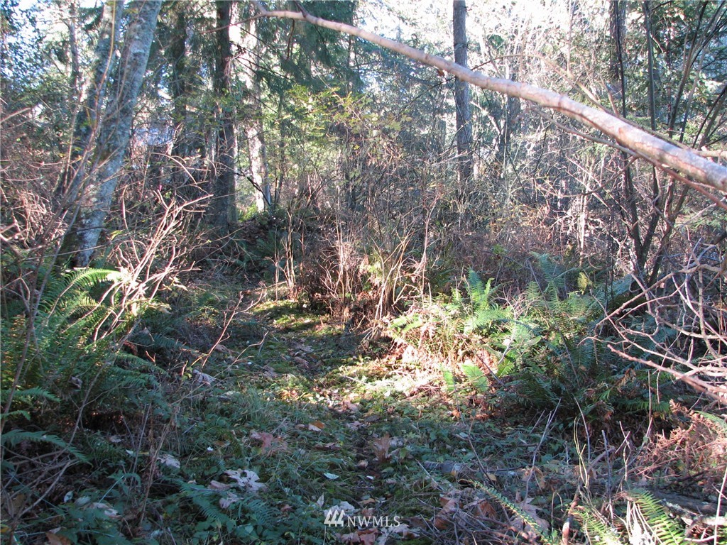 0 Green Road Oak Harbor, WA 98277 - Photo 22 of 25 Gallery Image 22