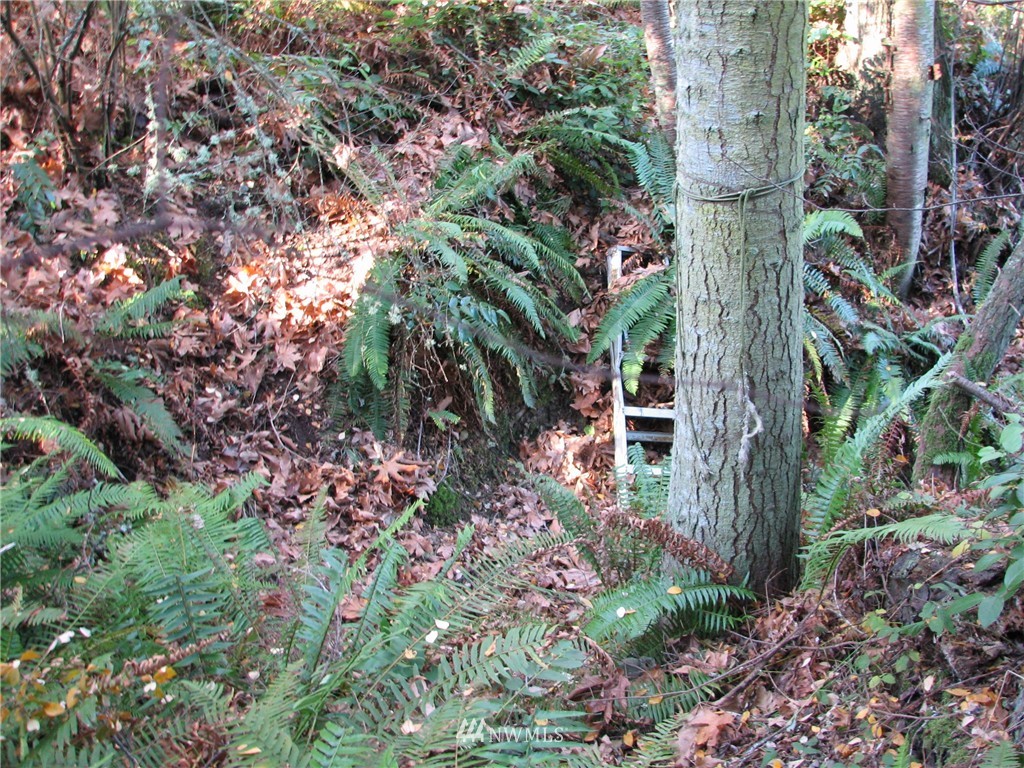 0 Green Road Oak Harbor, WA 98277 - Photo 23 of 25 Gallery Image 23