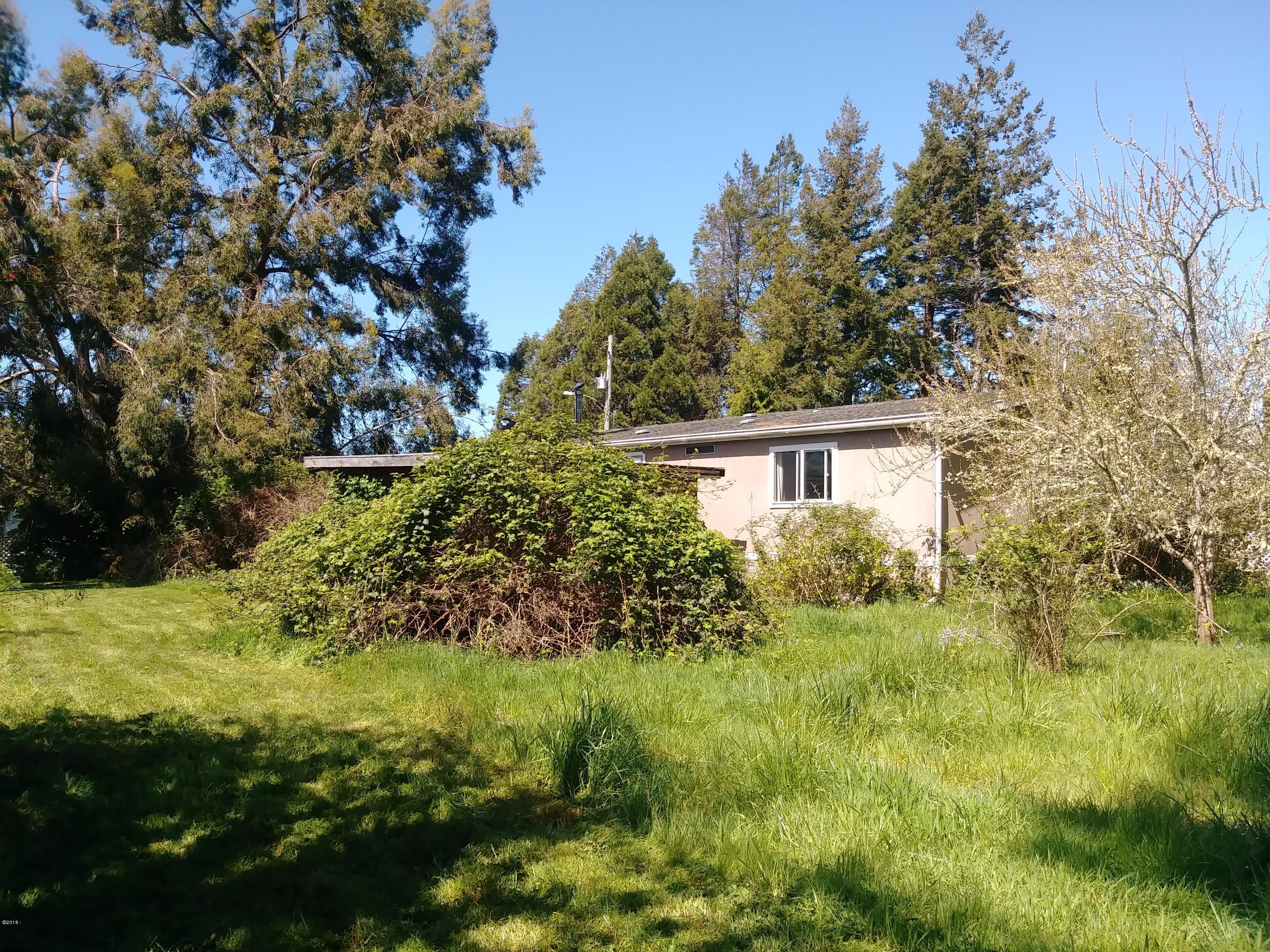 511 Southeast Moffitt Road Waldport, OR 97394 - Photo 9 of 37 Back yard