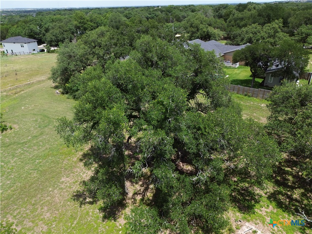 731 Santa Maria Road Salado, TX 76571 - Photo 8 of 15