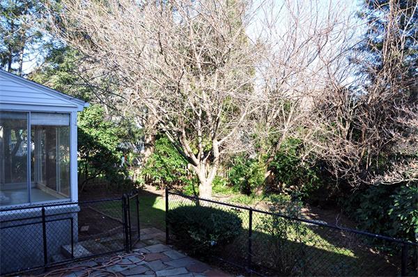 11 Garfield Road Milton, MA 02186 - Photo 11 of 14 Gallery Image 11