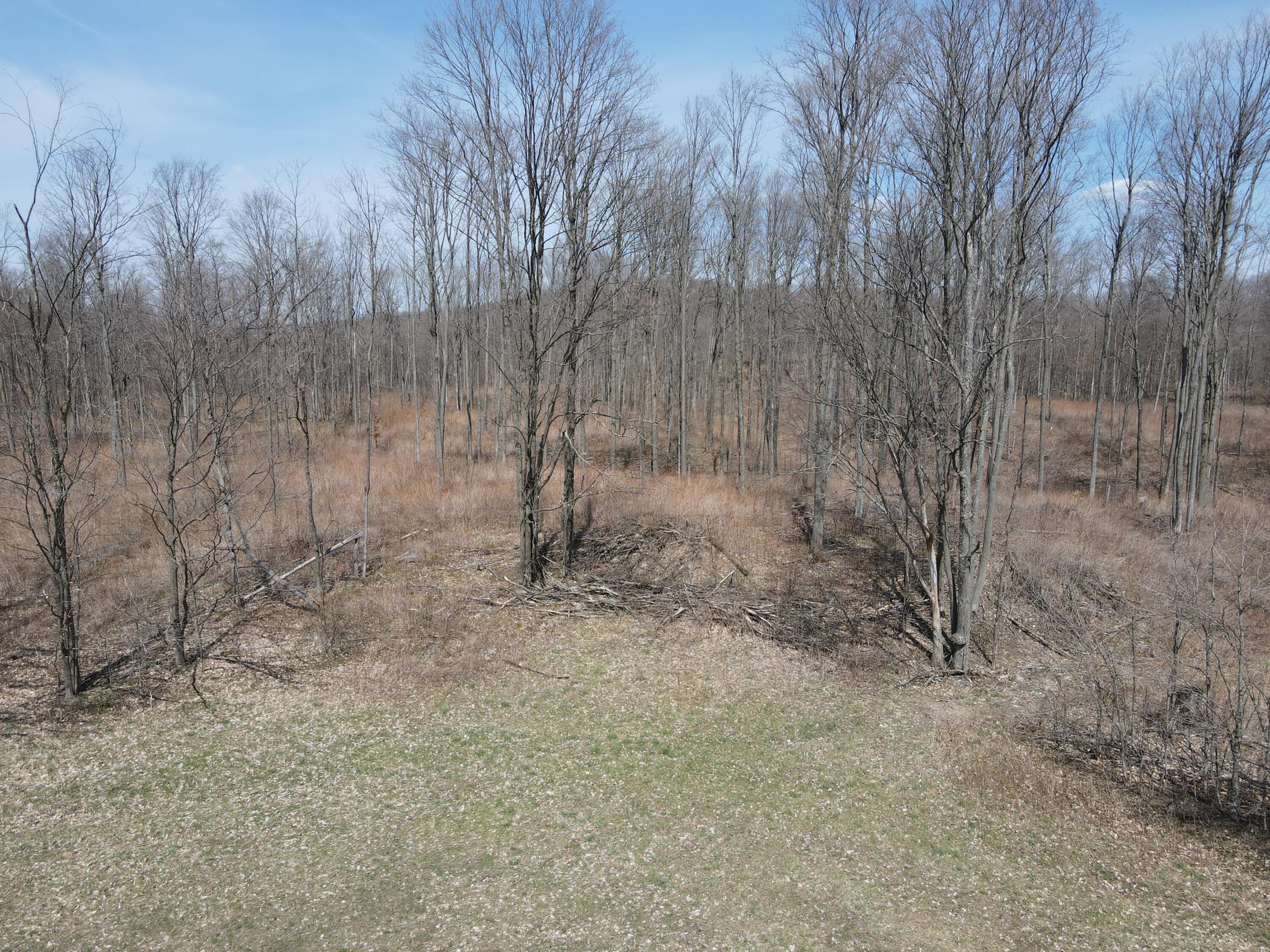 -vl Pyke School Road Gaylord, MI 49735 - Photo 11 of 24 DJI_0240