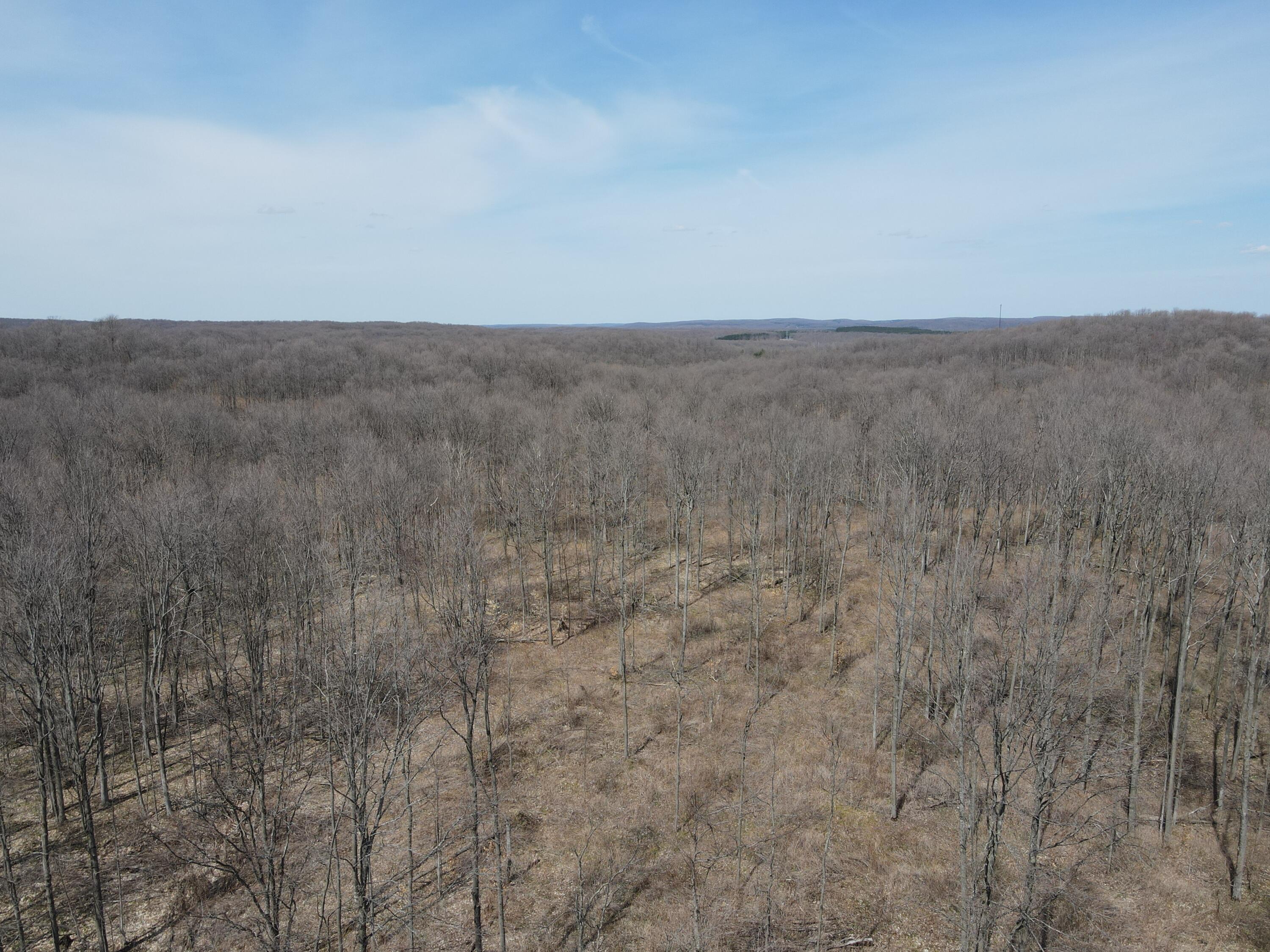 -vl Pyke School Road Gaylord, MI 49735 - Photo 12 of 24 DJI_0241