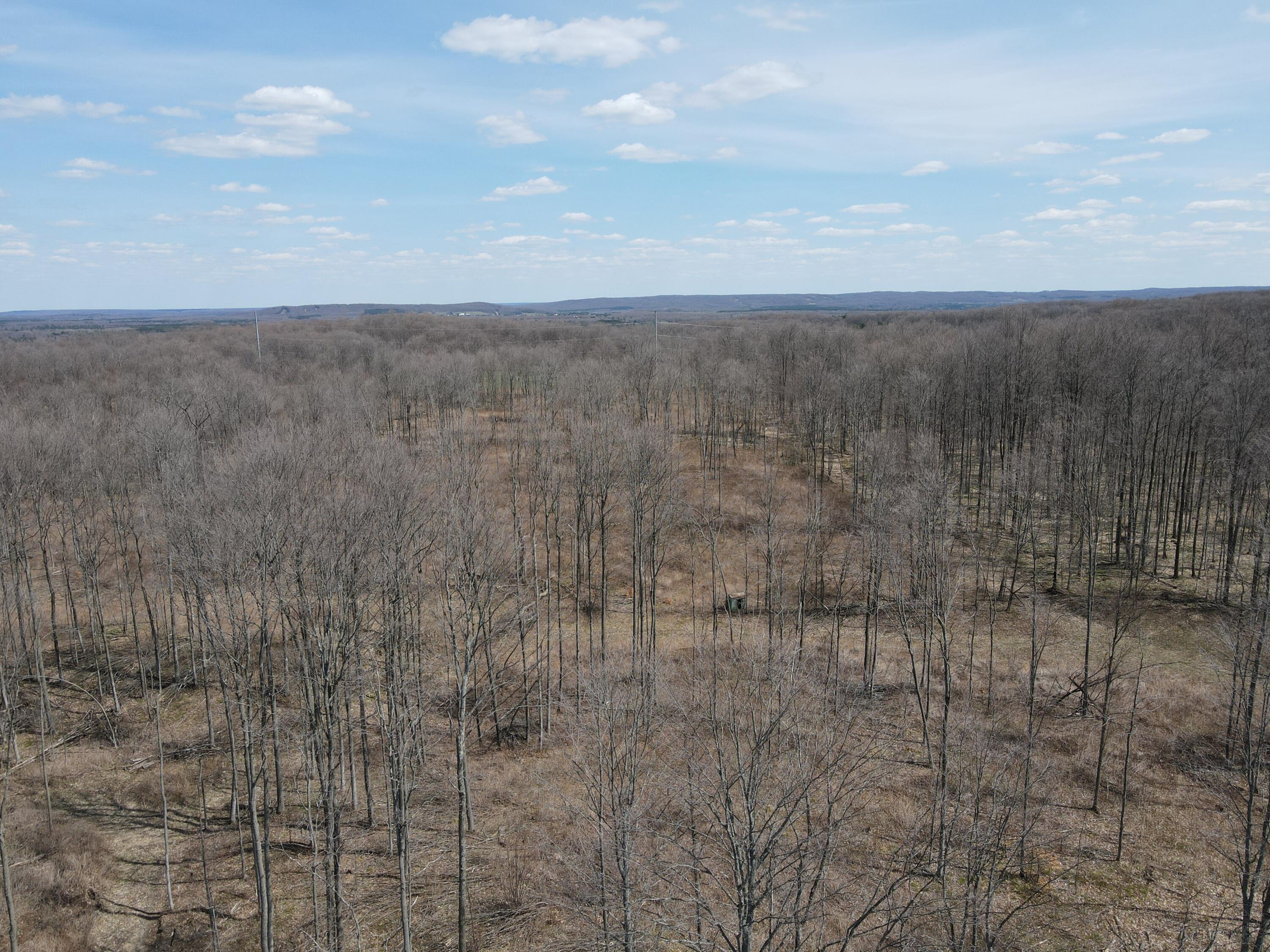 -vl Pyke School Road Gaylord, MI 49735 - Photo 13 of 24 DJI_0242