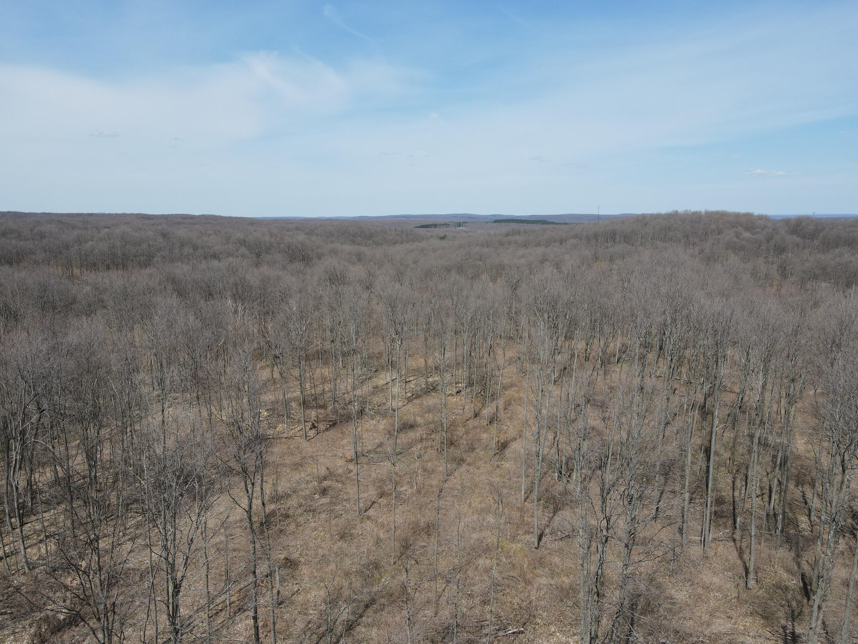 -vl Pyke School Road Gaylord, MI 49735 - Photo 14 of 24 DJI_0243