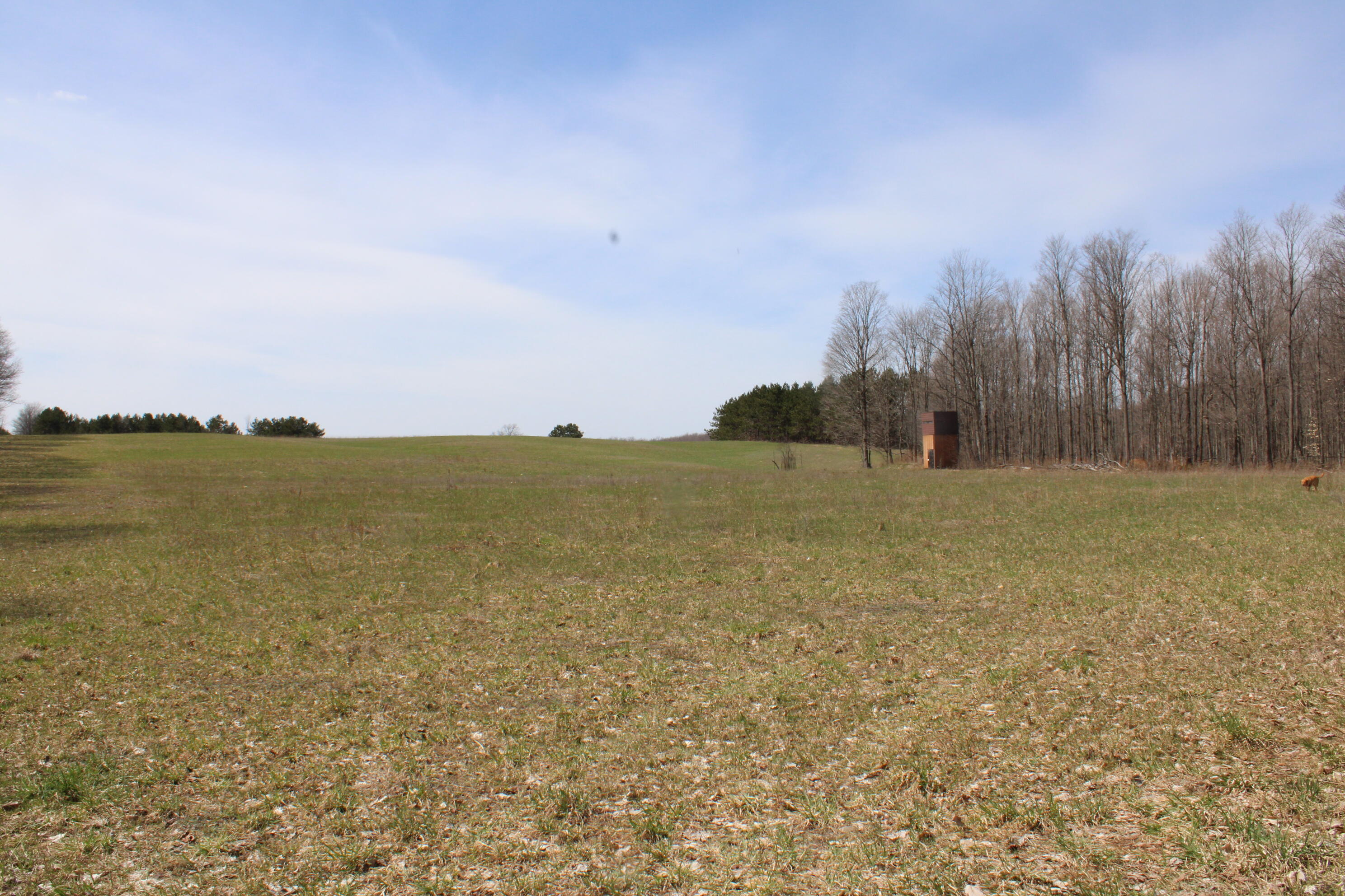 -vl Pyke School Road Gaylord, MI 49735 - Photo 15 of 24 IMG_2978