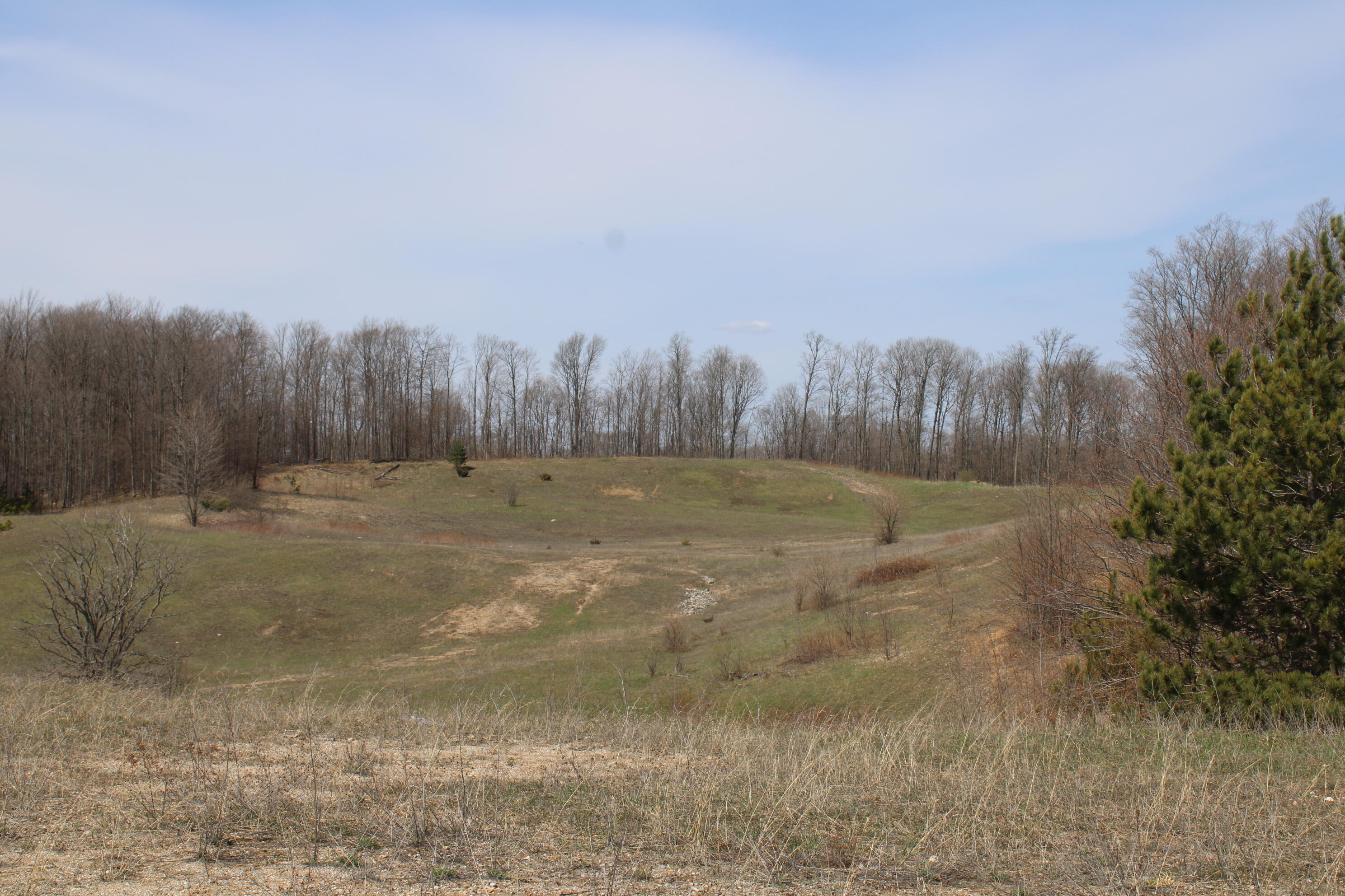 -vl Pyke School Road Gaylord, MI 49735 - Photo 16 of 24 IMG_2981