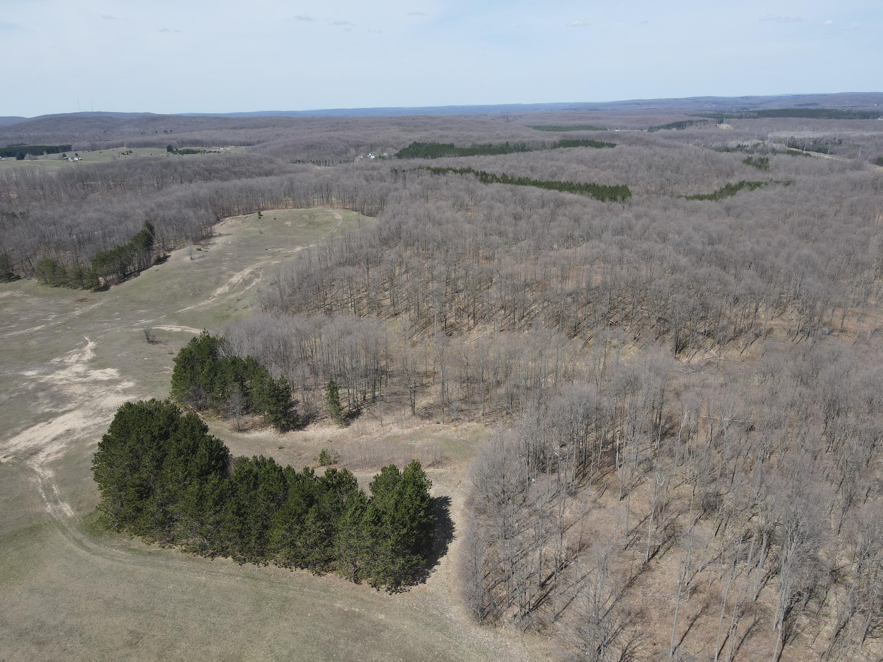 -vl Pyke School Road Gaylord, MI 49735 - Photo 2 of 24 DJI_0227