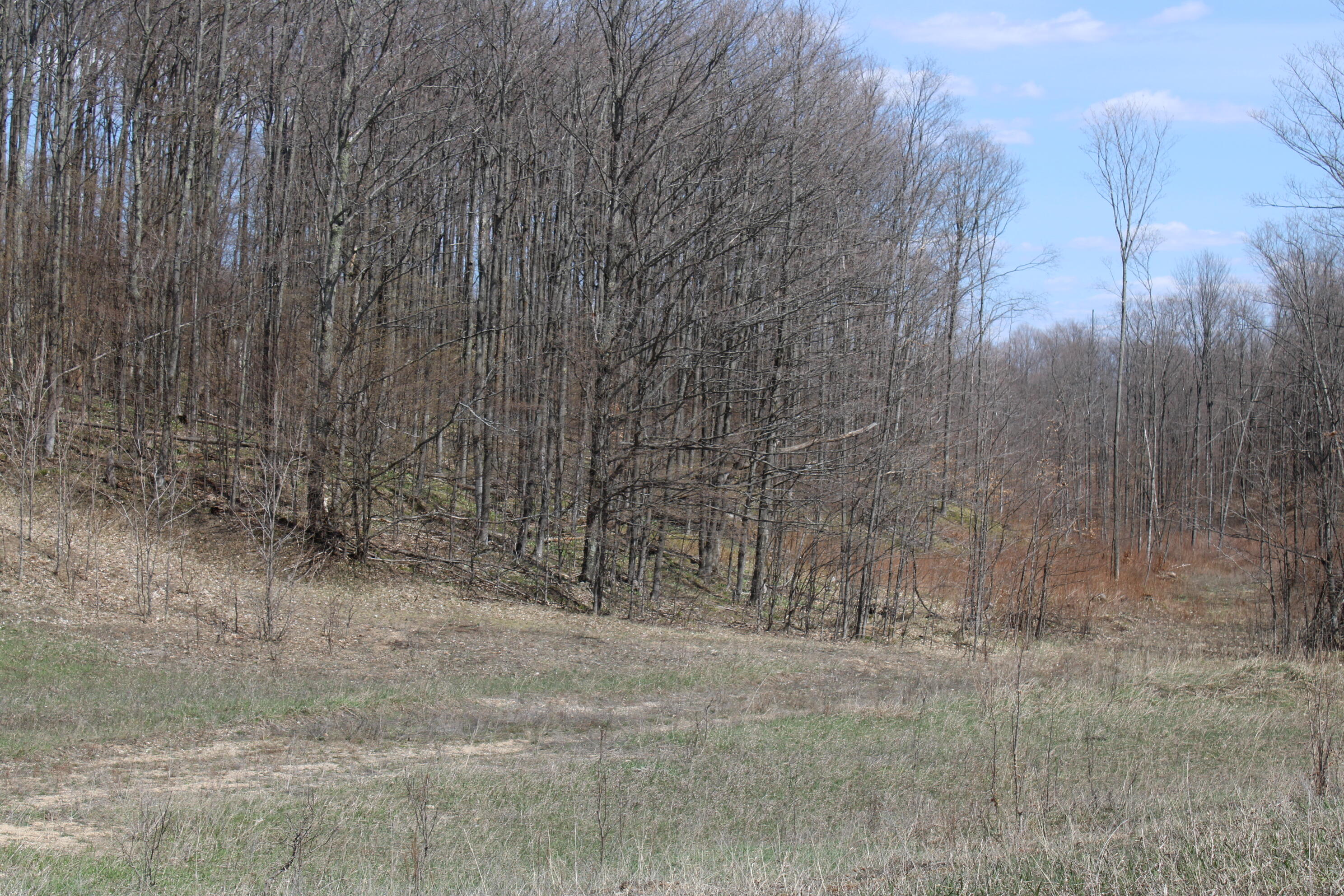 -vl Pyke School Road Gaylord, MI 49735 - Photo 22 of 24 IMG_2989