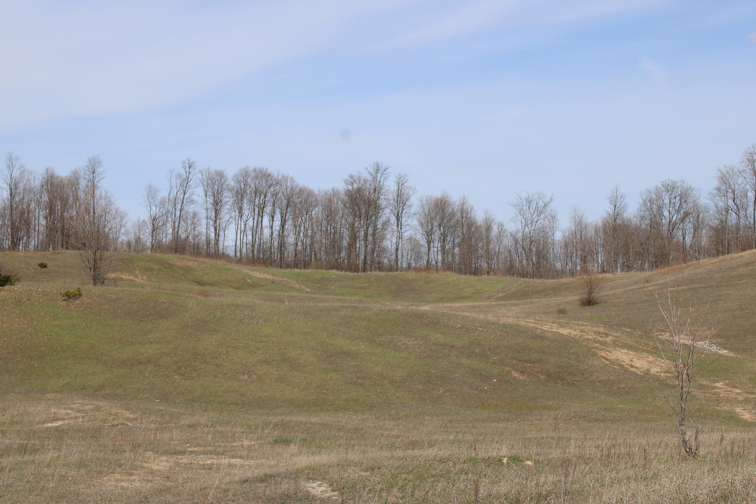 -vl Pyke School Road Gaylord, MI 49735 - Photo 23 of 24 IMG_2990