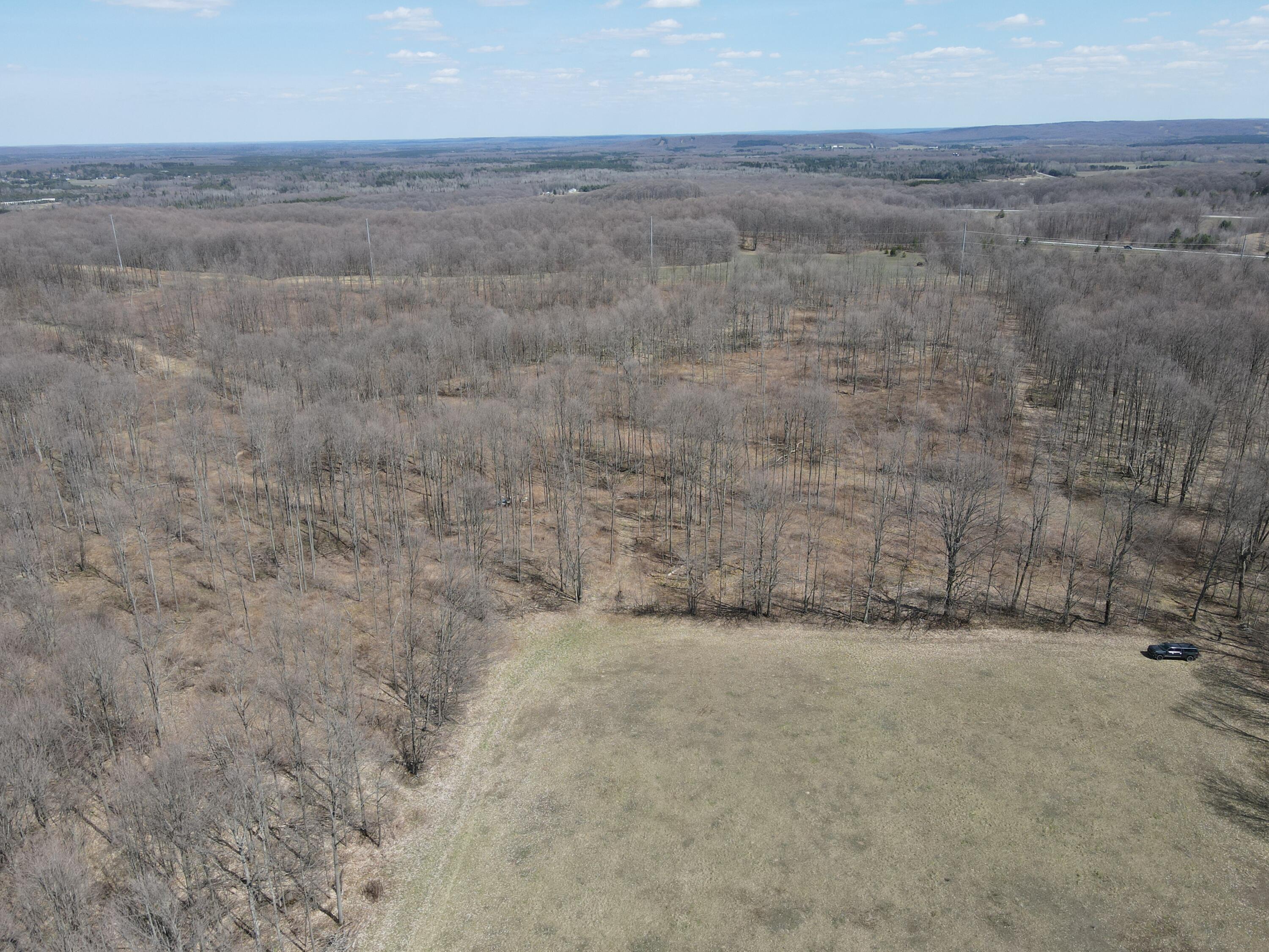 -vl Pyke School Road Gaylord, MI 49735 - Photo 3 of 24 DJI_0228