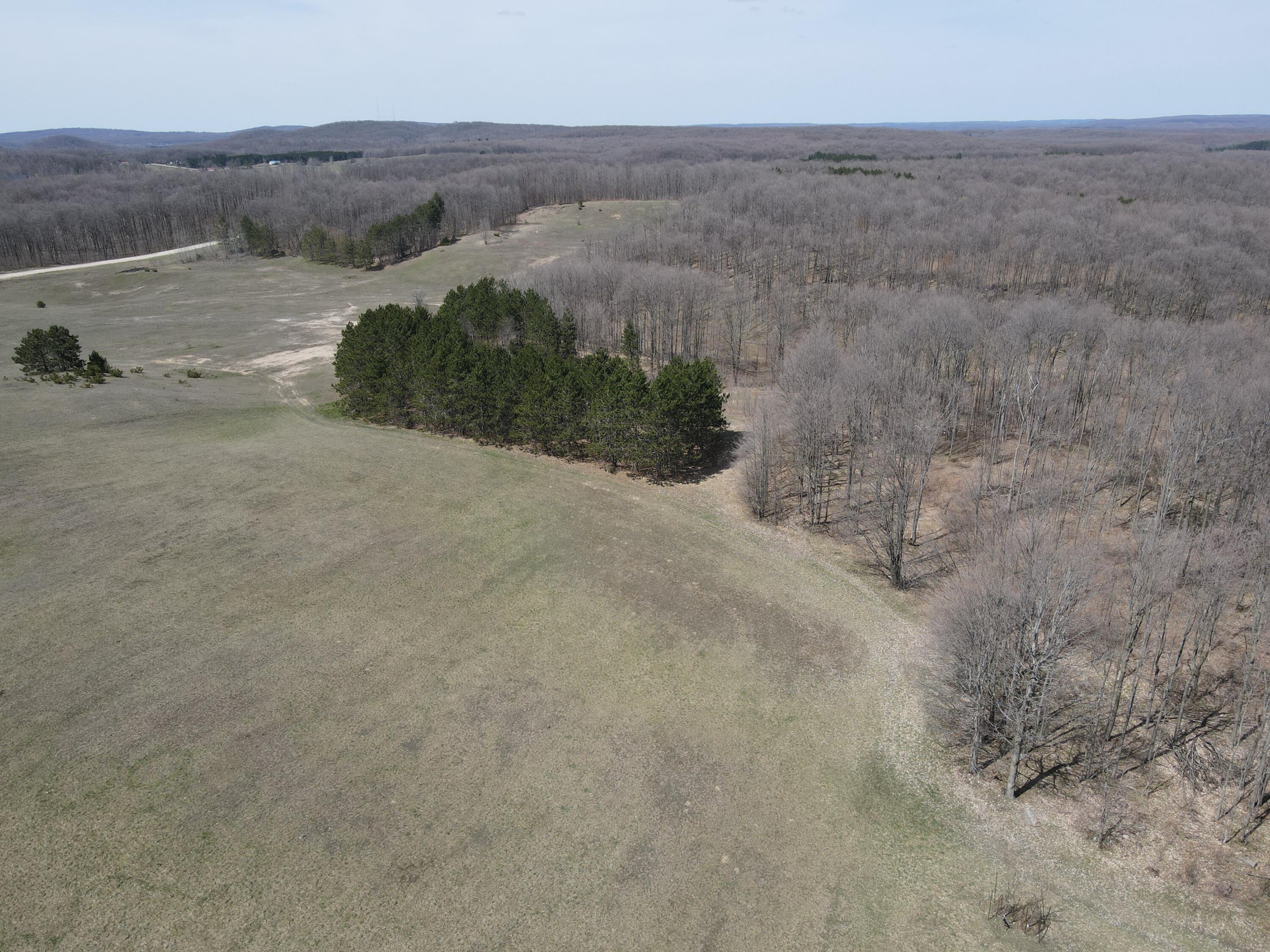 -vl Pyke School Road Gaylord, MI 49735 - Photo 4 of 24 DJI_0229