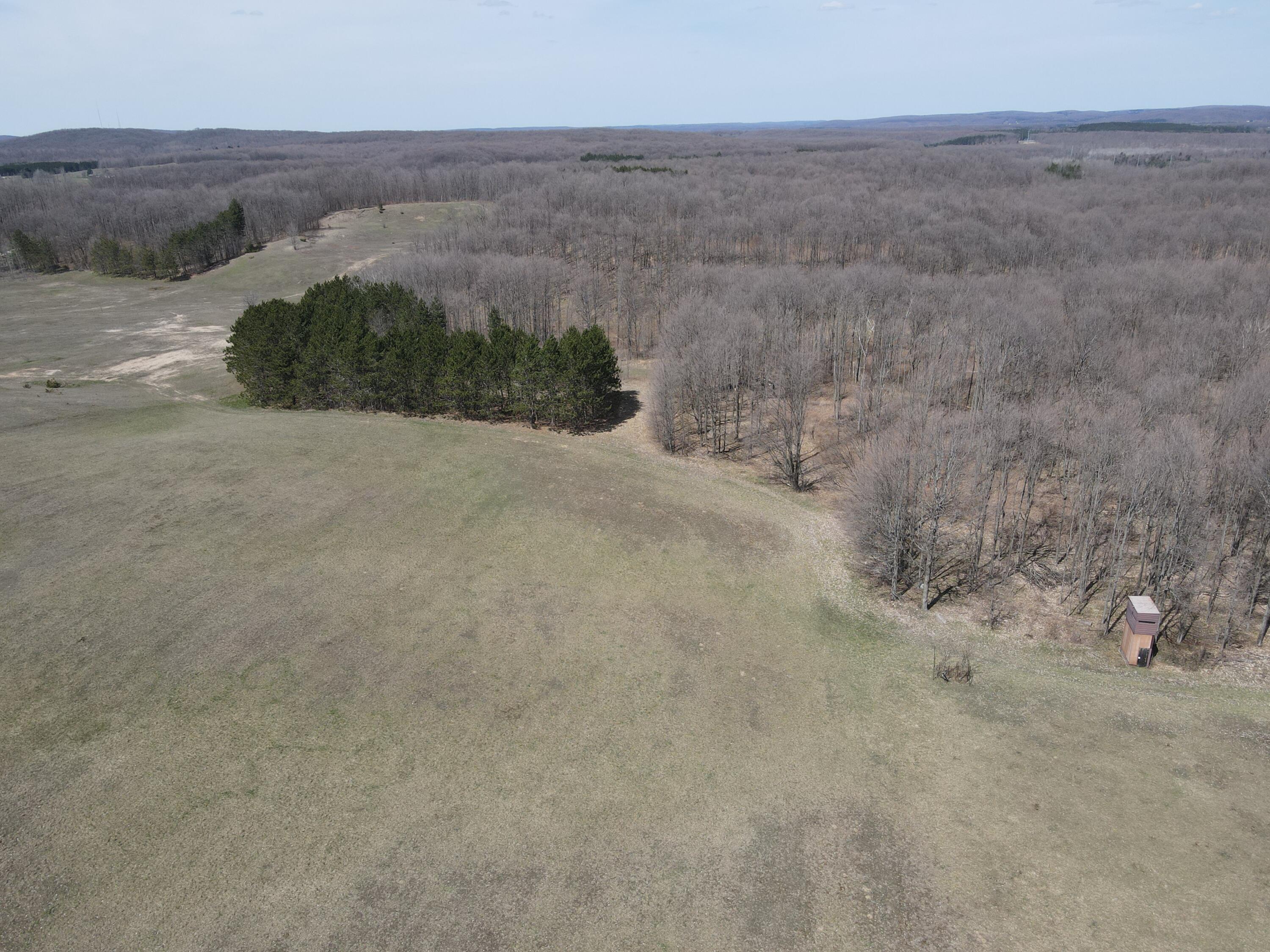 -vl Pyke School Road Gaylord, MI 49735 - Photo 5 of 24 DJI_0230