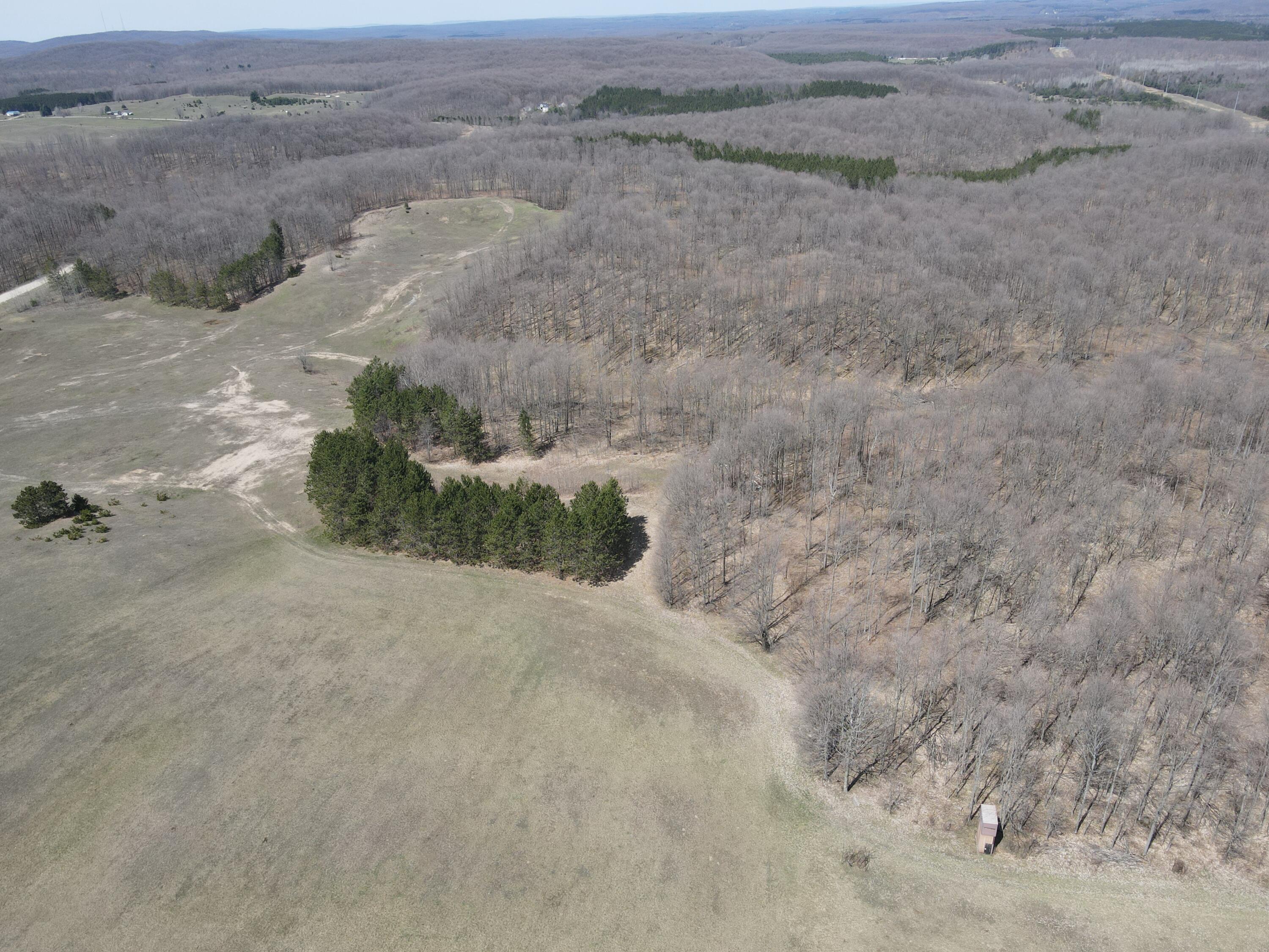 -vl Pyke School Road Gaylord, MI 49735 - Photo 6 of 24 DJI_0231
