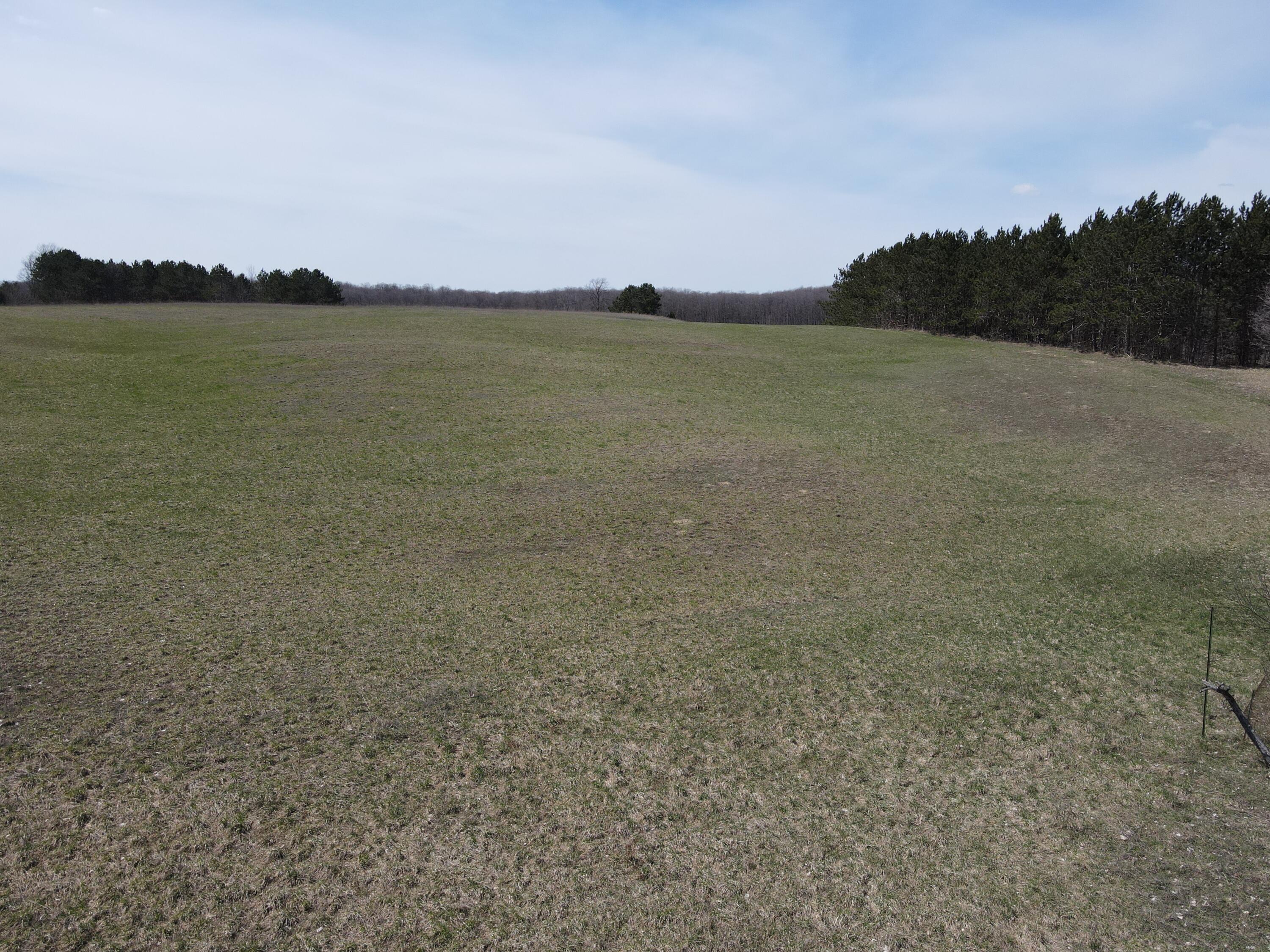 -vl Pyke School Road Gaylord, MI 49735 - Photo 9 of 24 DJI_0238