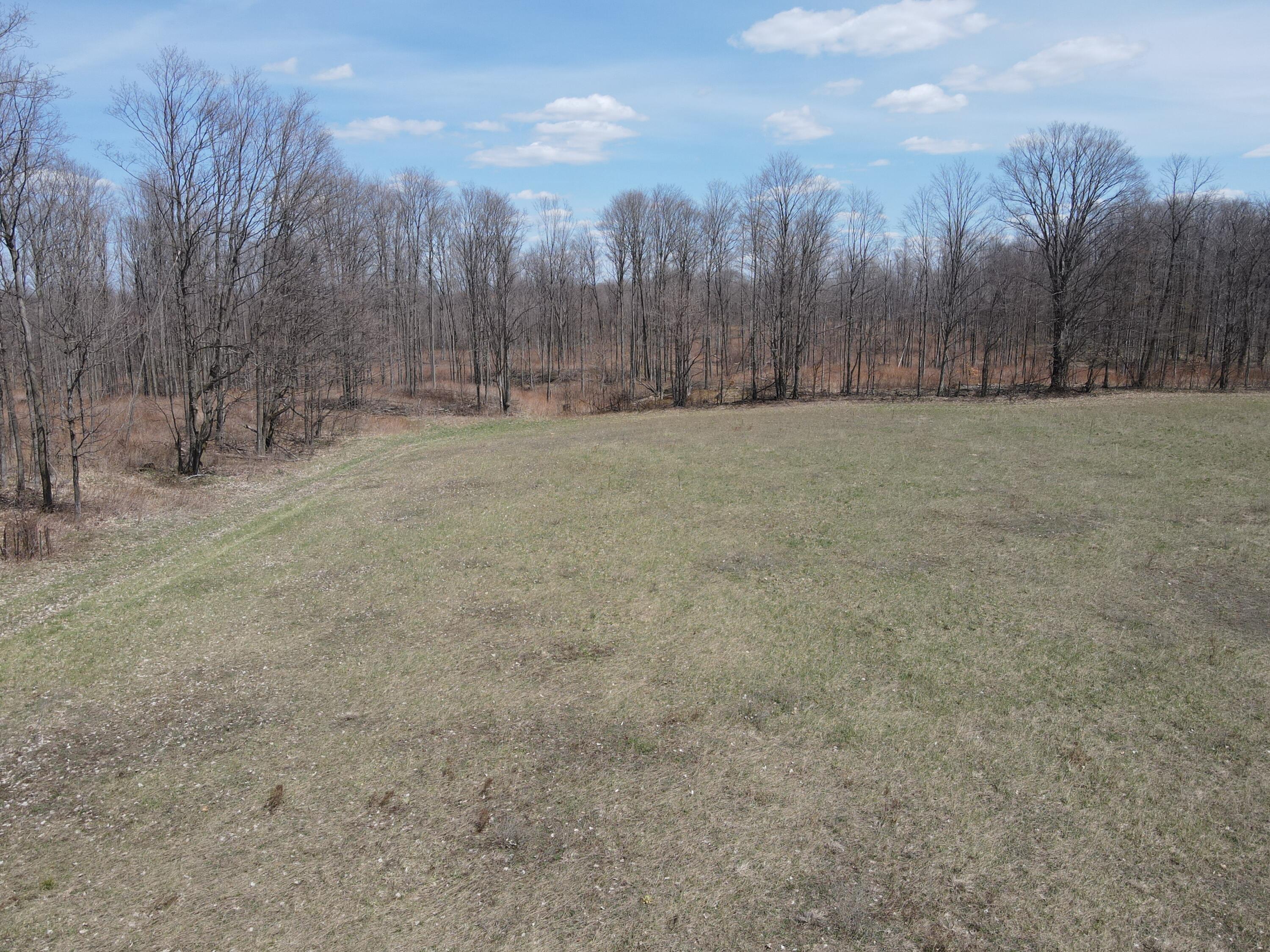 -vl Pyke School Road Gaylord, MI 49735 - Photo 10 of 24 DJI_0239