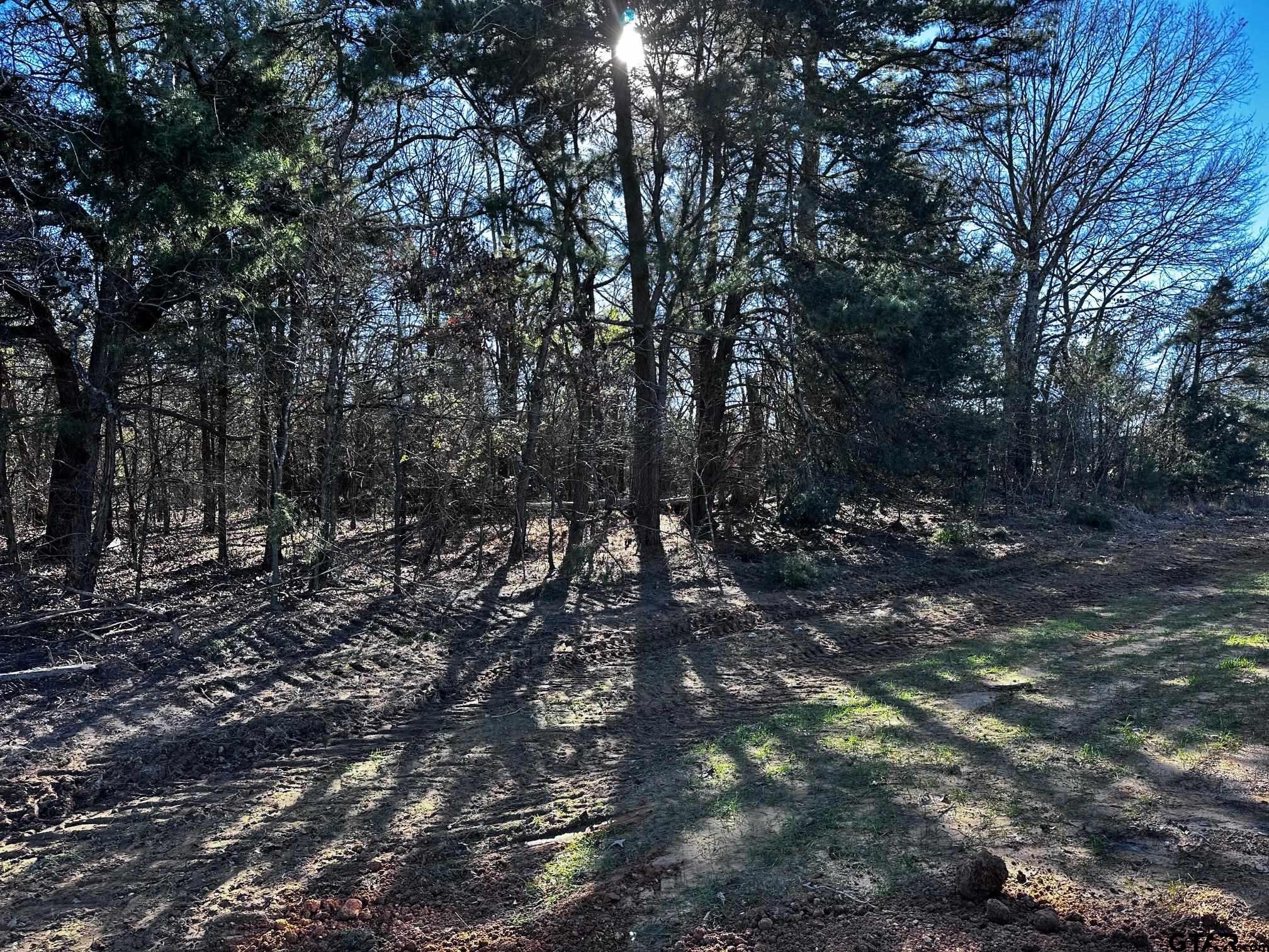 118 Private Road 5296 Alba, TX 75410 - Photo 25 of 25 a view of a forest with trees