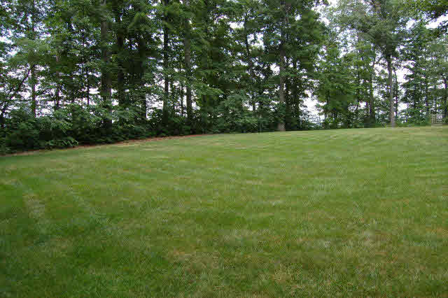 95 Kerr Lane Fort Defiance, VA 24437 - Photo 10 of 44 Gallery Image 10