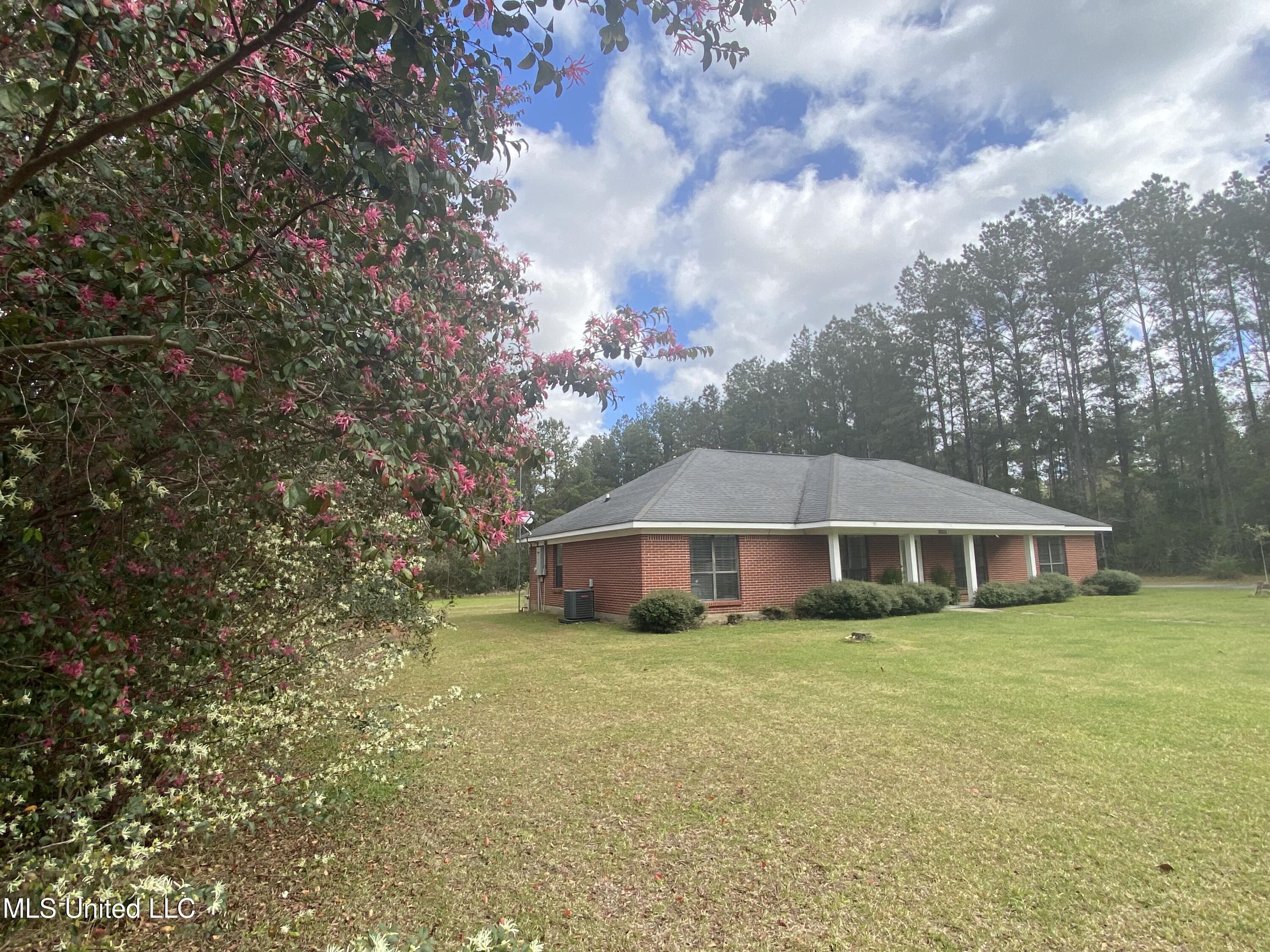 16533 Campground Road Vancleave, MS 39565 - Photo 5 of 50 IMG_6573