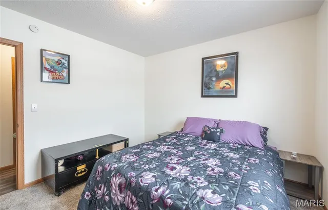 $265,000 | 26012 Satellite Road, Laquey, MO 65534