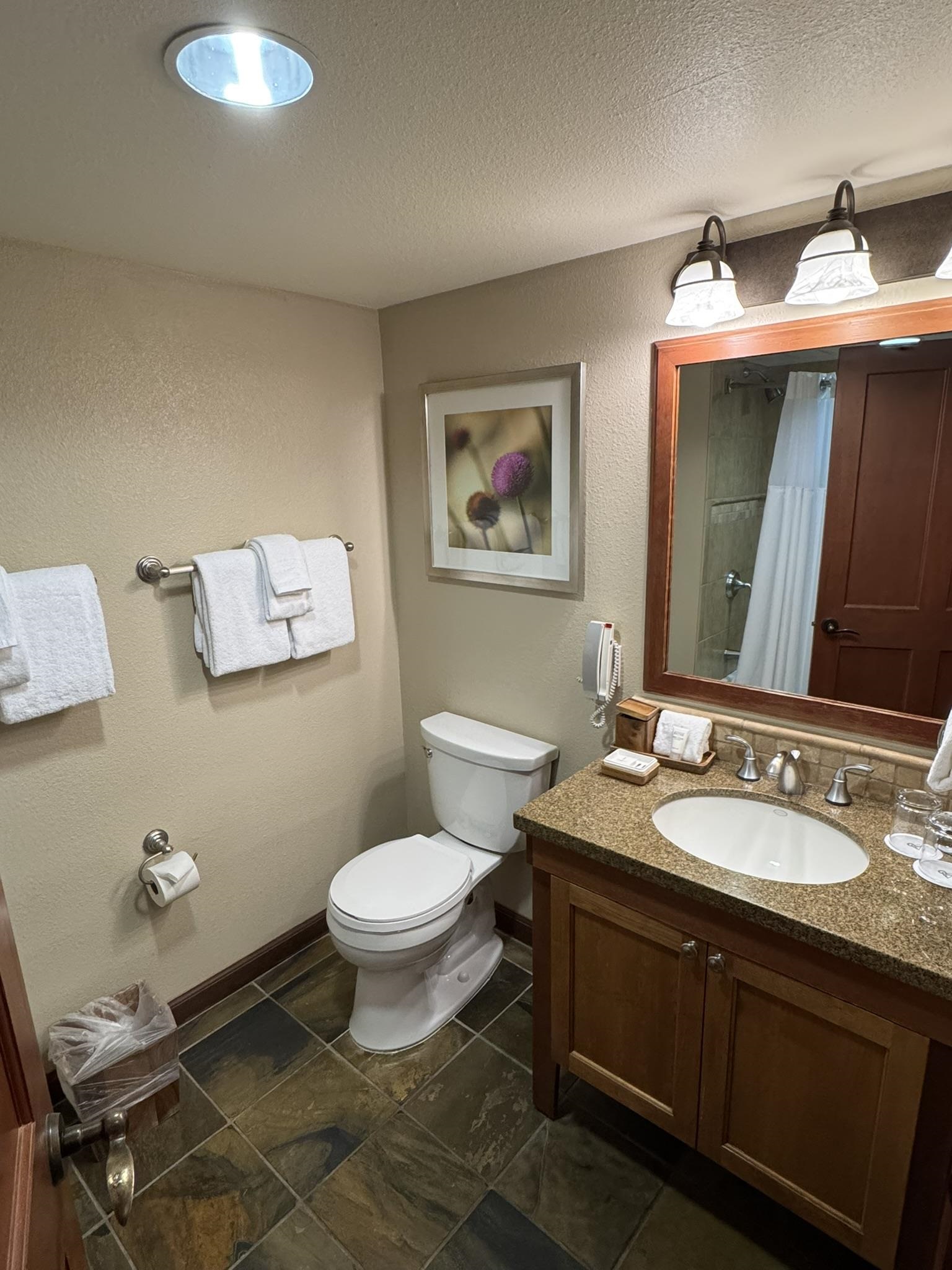 400 Resort Road, Unit 725 Olympic Valley, CA 96146 - Photo 14 of 24 Gallery Image 14