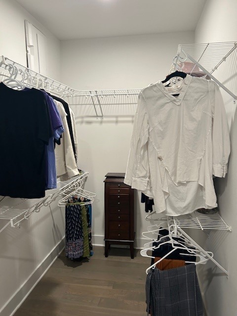 1041 East Trinity Lane, Unit 315 Nashville, TN 37216 - Photo 15 of 48 a view of walk in closet with clothes and shoes