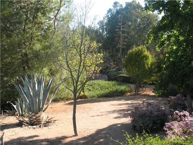 17556 Rancho De Carole Road Ramona, CA 92065 - Photo 7 of 25 Gallery Image 7