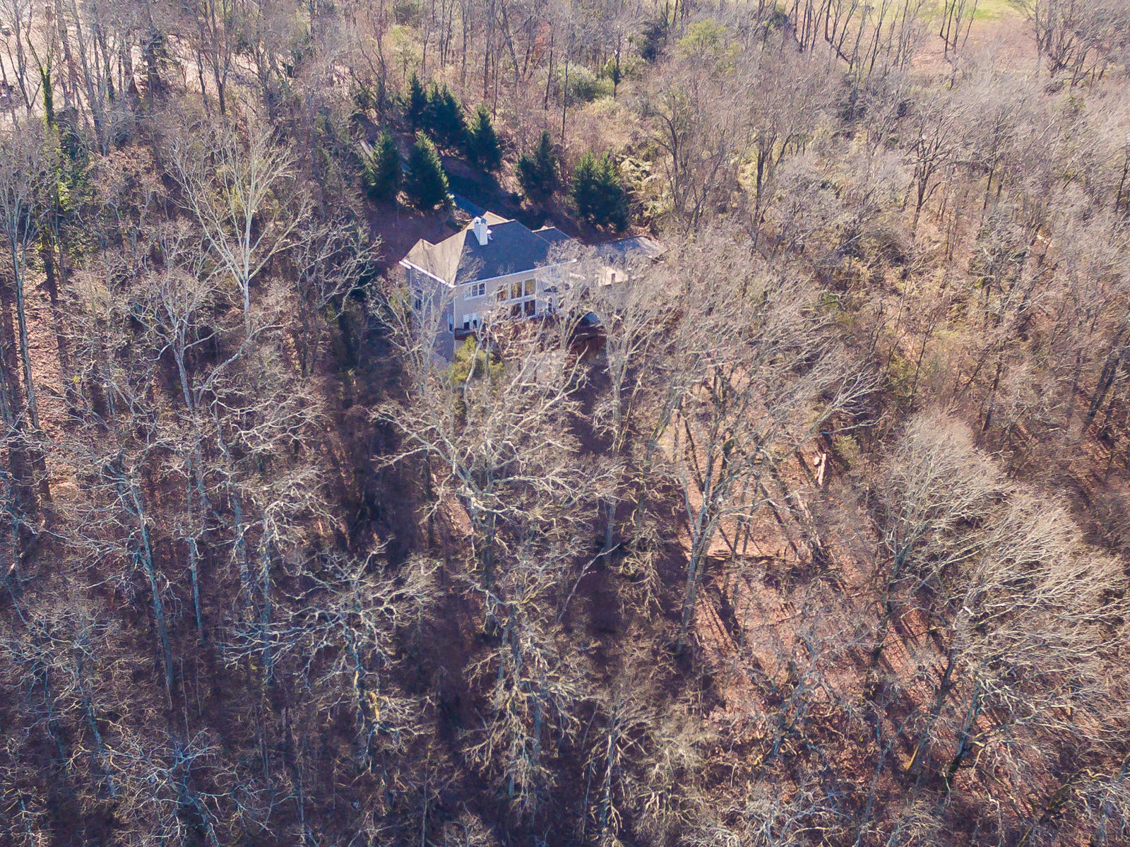 7402 River Ridge Drive, Unit 209 Chattanooga, TN 37416 - Photo 5 of 14 7402_RiverRidge_1-1