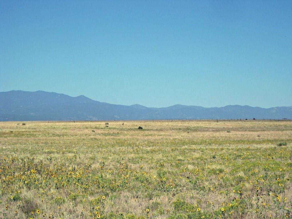 116 Wolfenberger Road Pueblo, CO 81004 - Photo 7 of 21