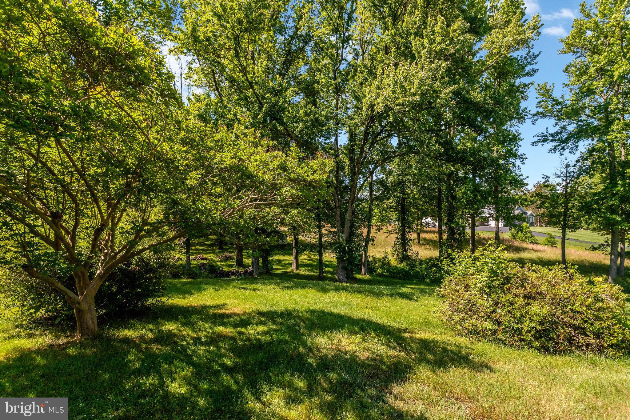913 Ficklen Road Fredericksburg, VA 22405 - Photo 18 of 19 Gallery Image 18